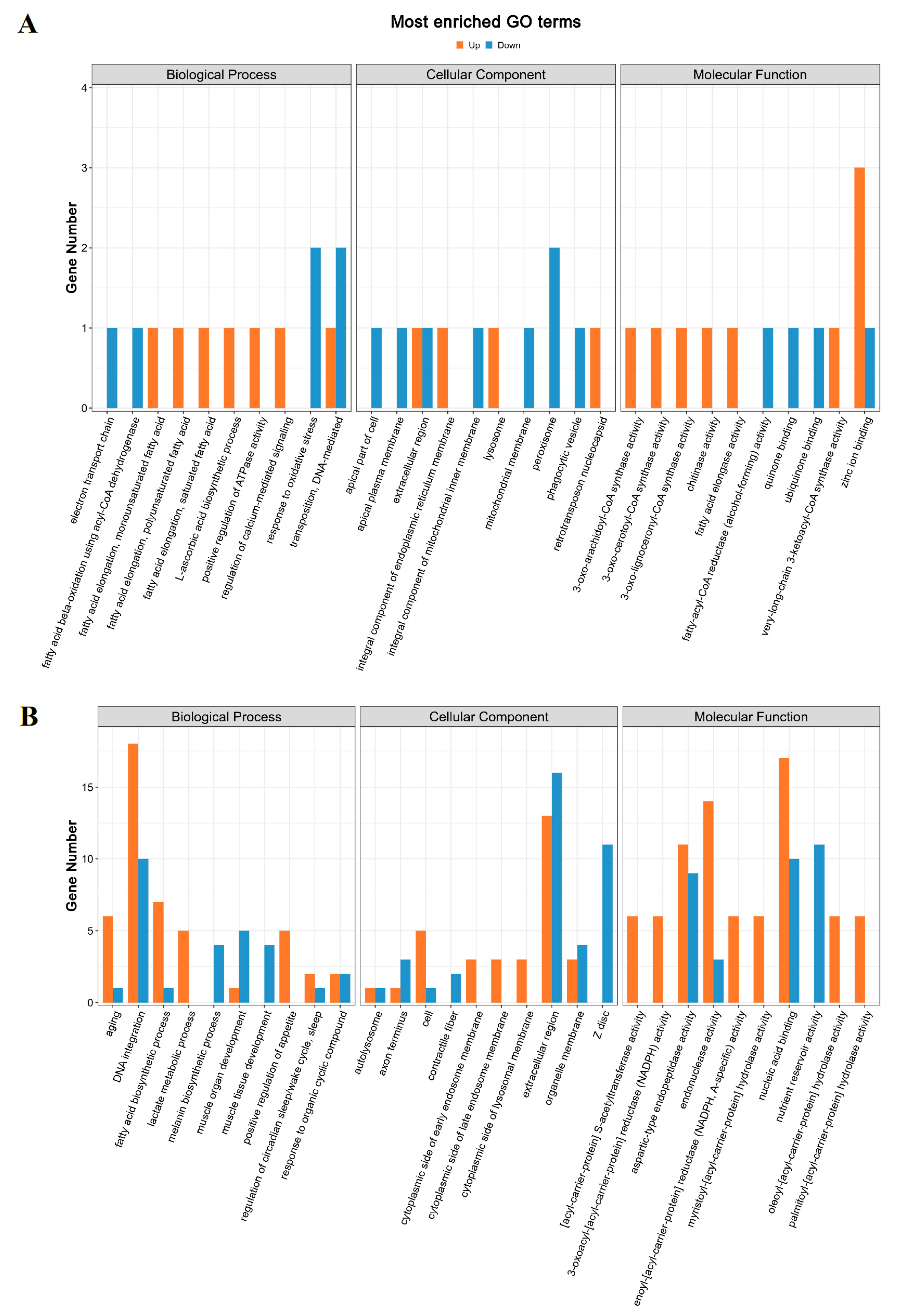 Agronomy 14 00626 g004