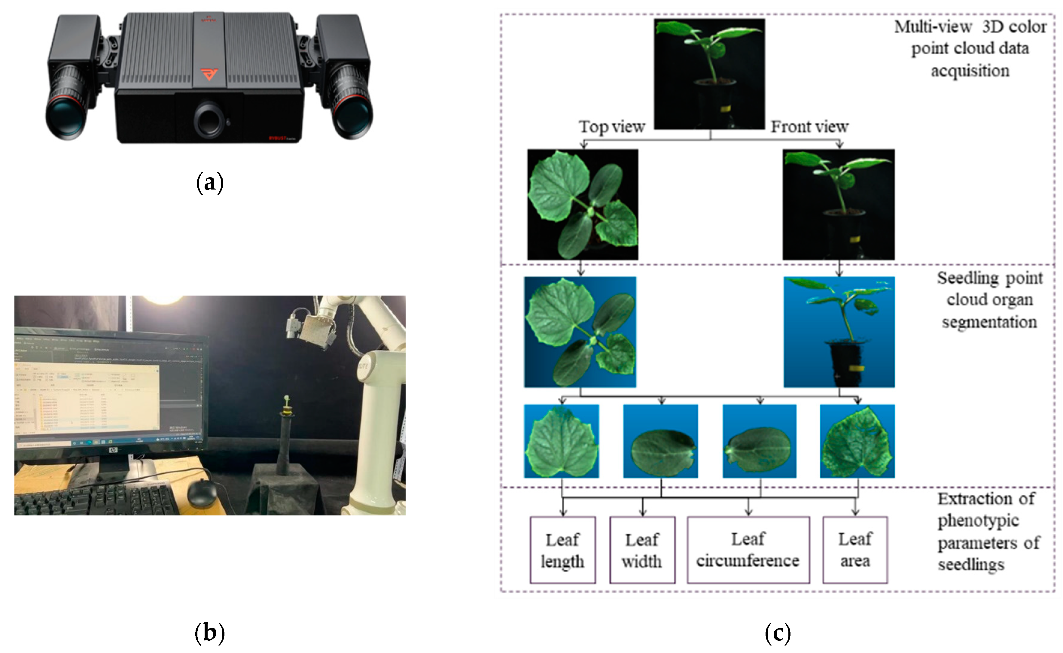Agronomy 14 00627 g002