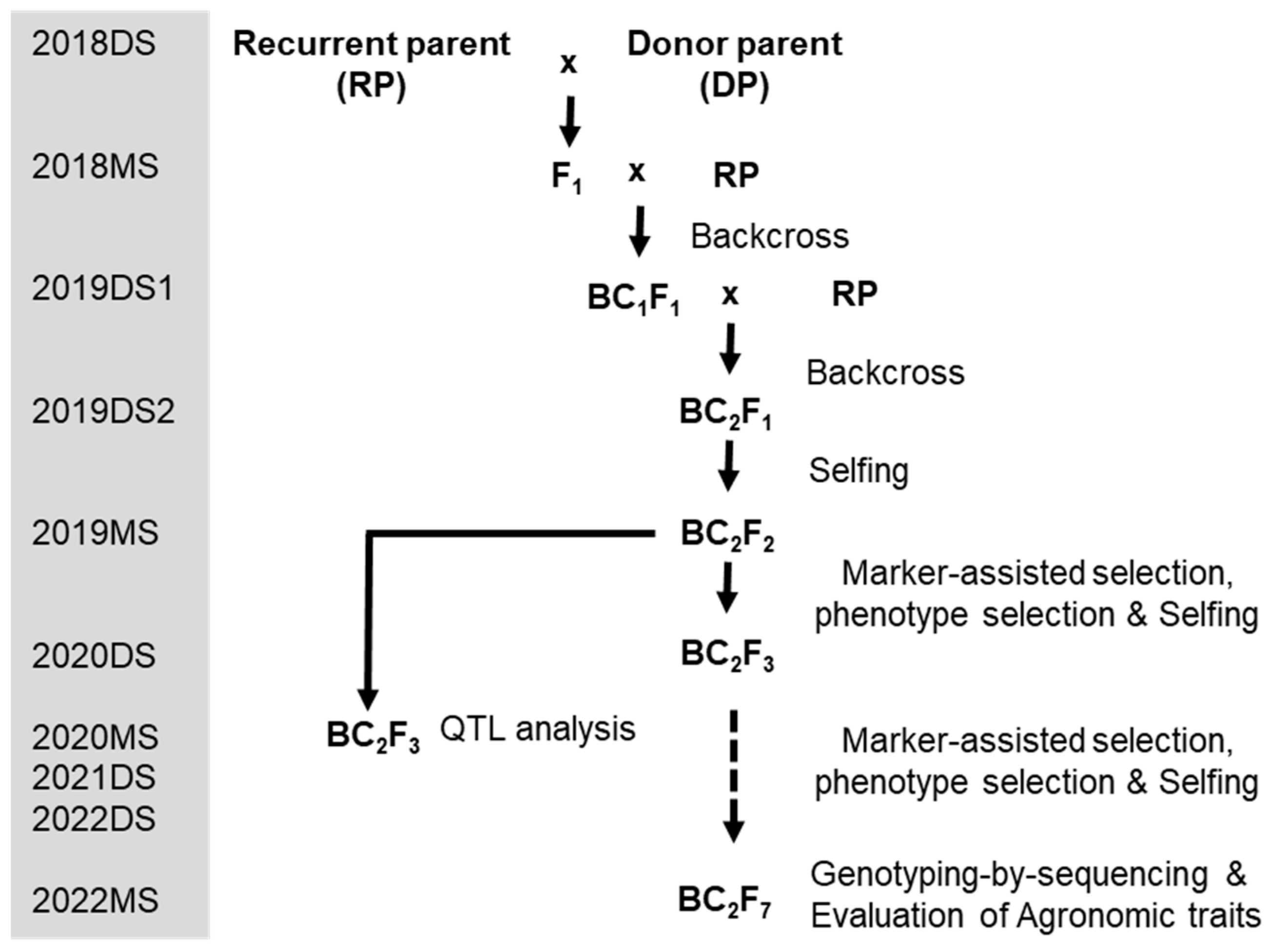 Agronomy 14 00632 g002 Agronomy 14 00632 g002