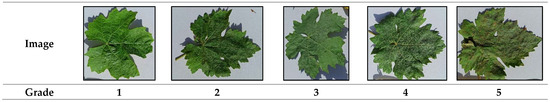 Field-Deployed Spectroscopy from 350 to 2500 nm: A Promising Technique ...