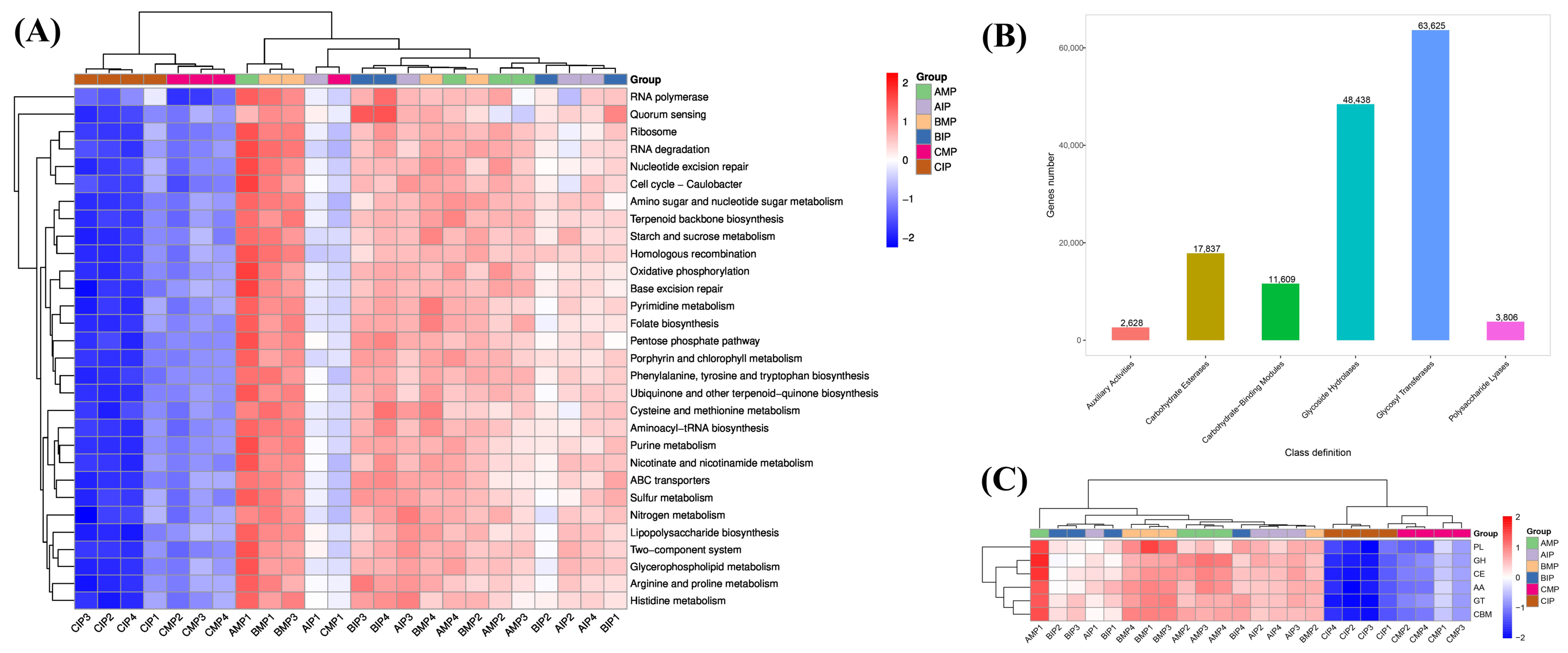 Agronomy 14 00635 g004