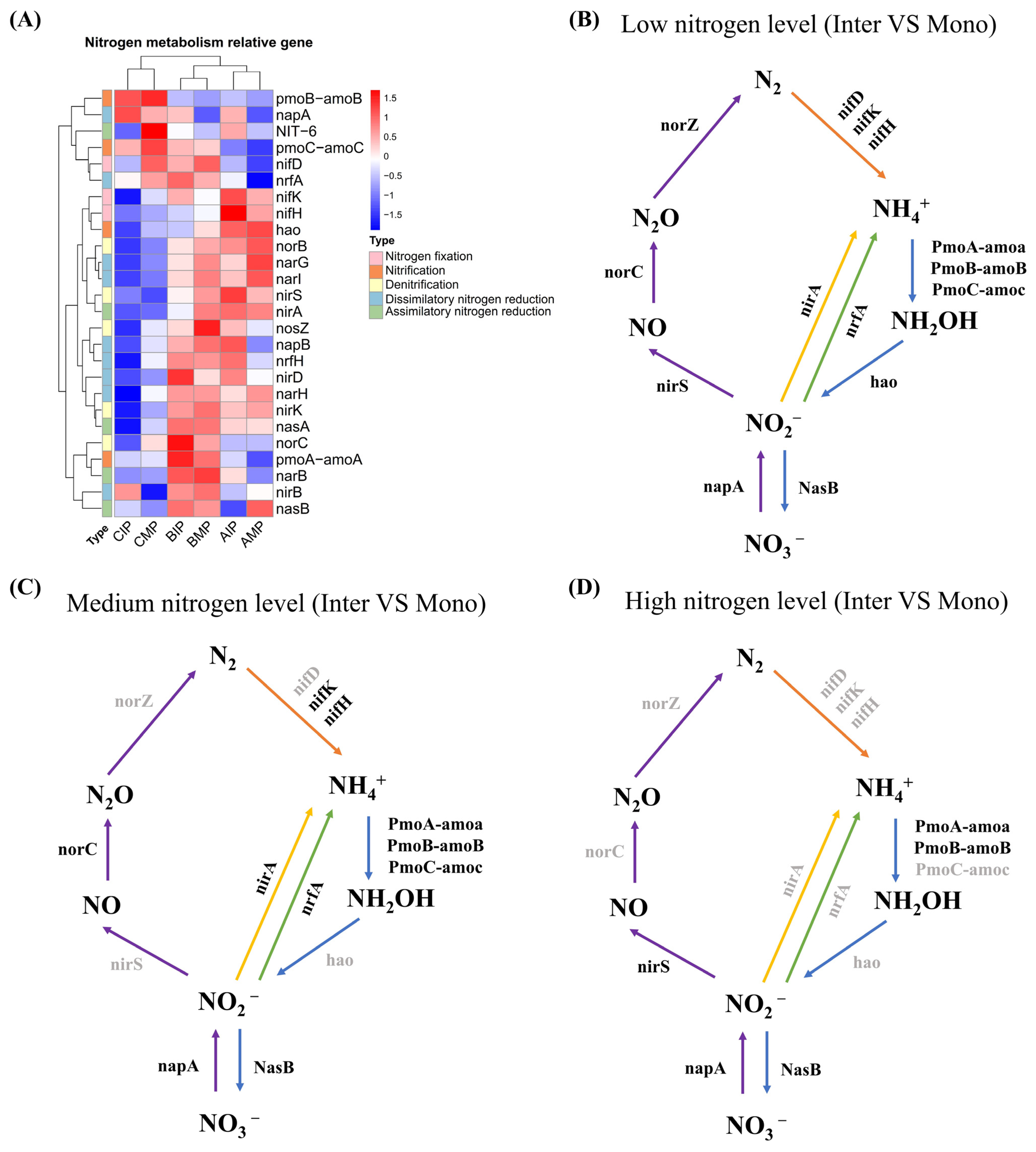 Agronomy 14 00635 g006