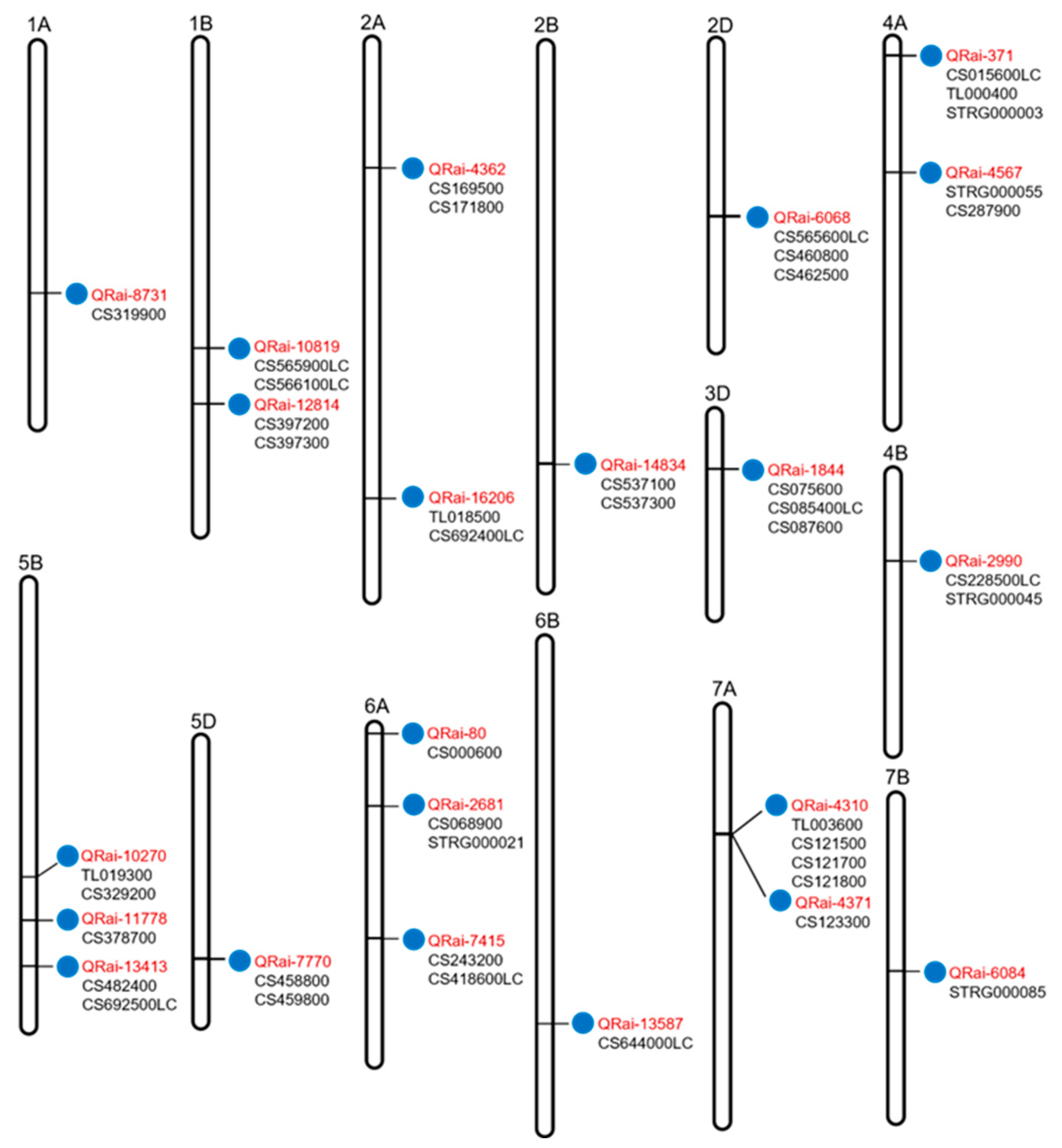 Agronomy 14 00637 g001