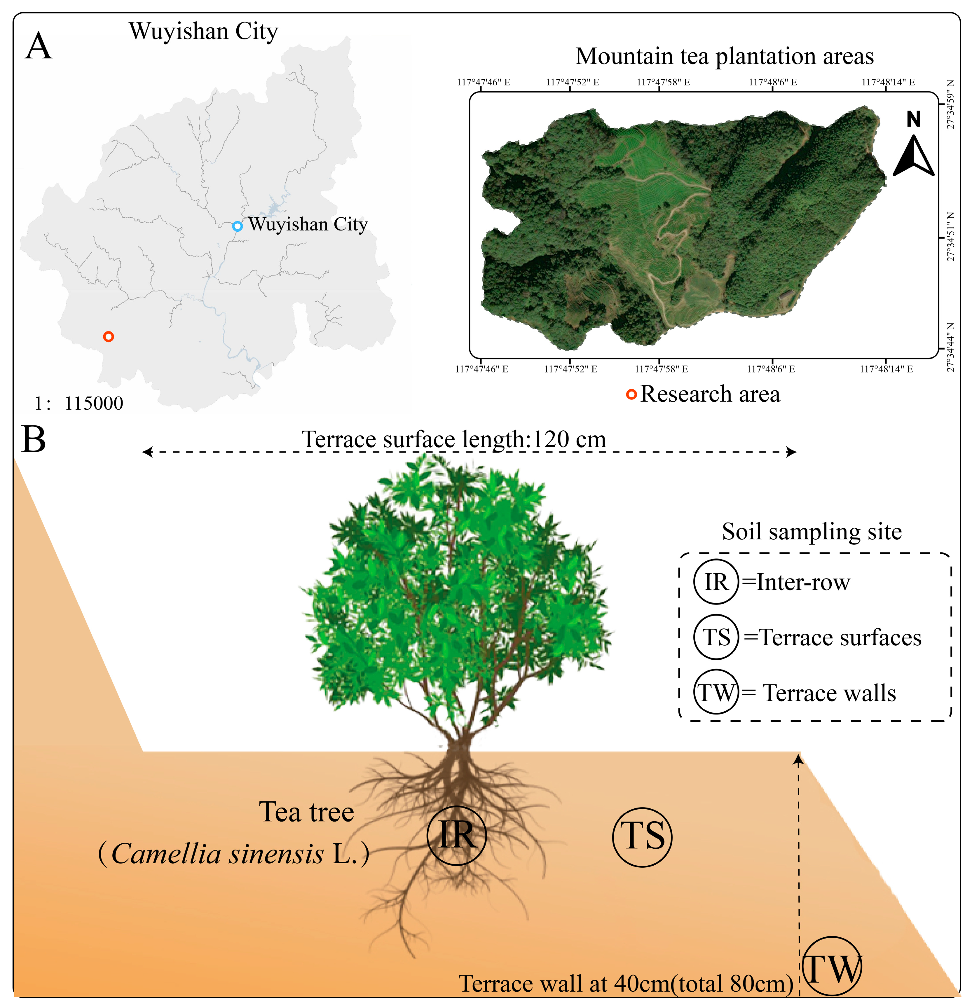 Agronomy 14 00638 g001