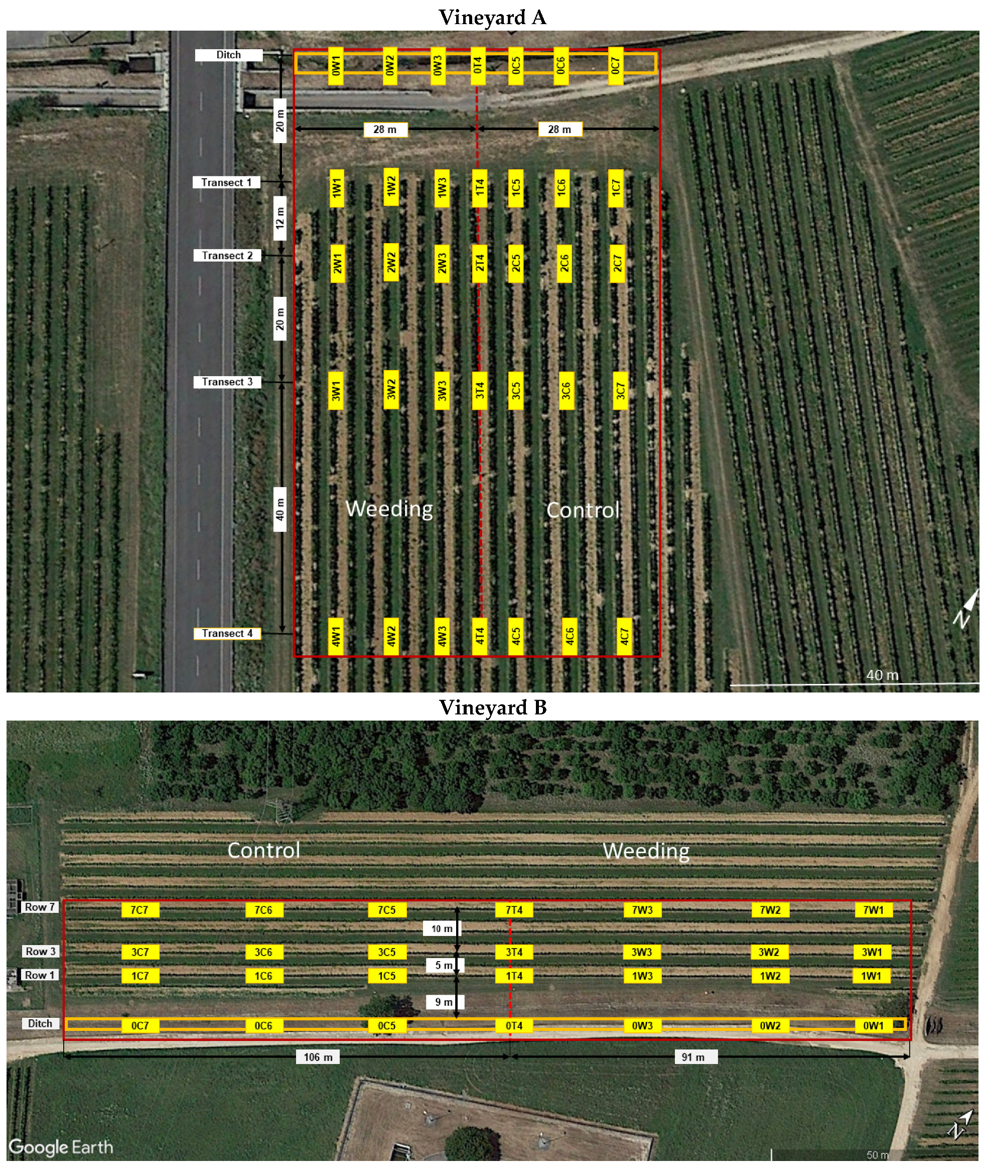 Agronomy 14 00643 g001