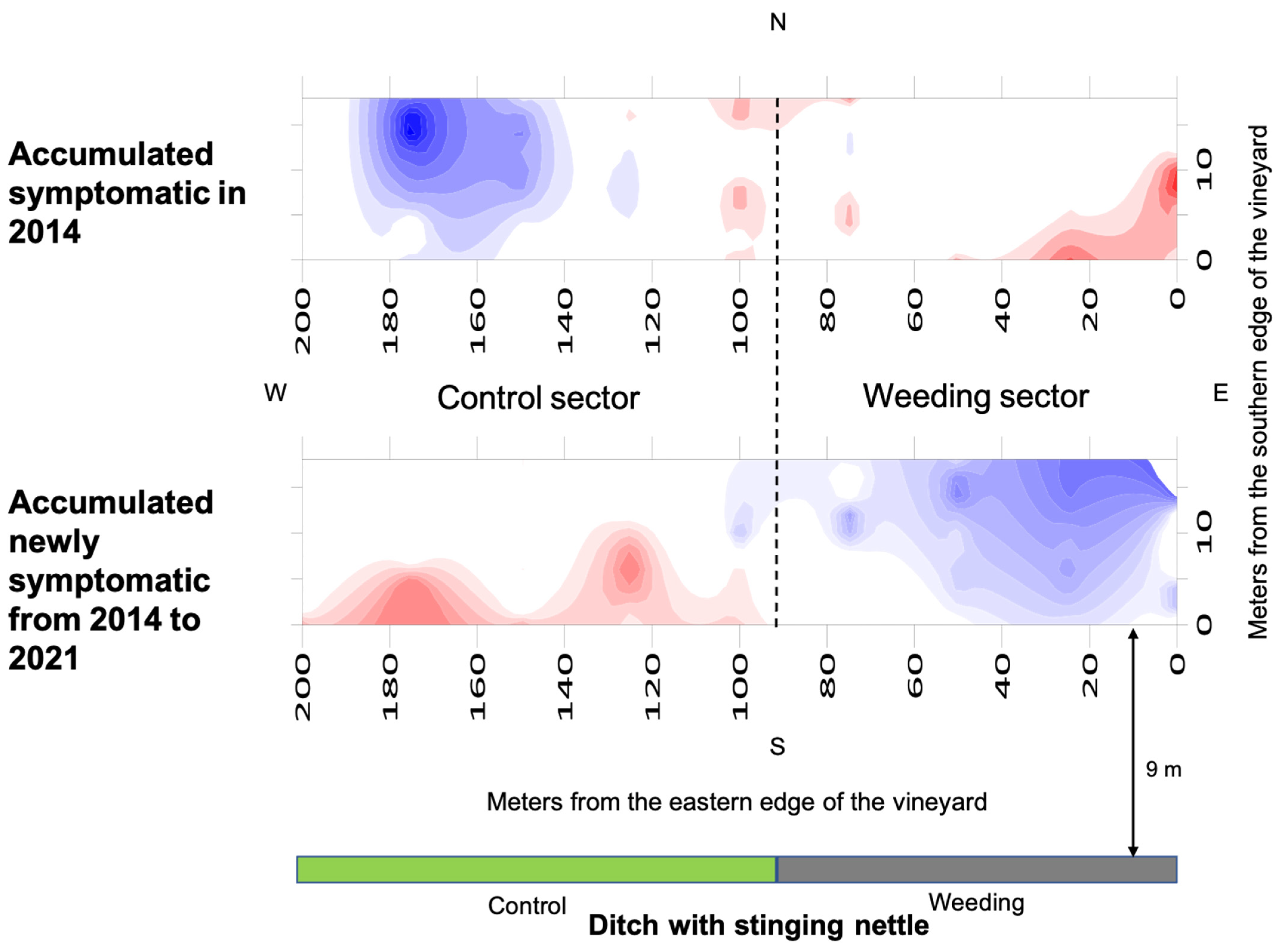 Agronomy 14 00643 g006