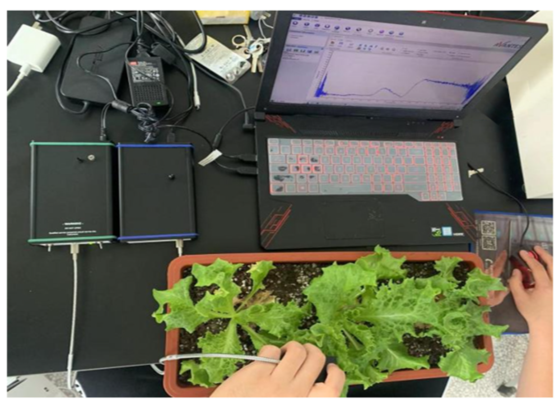 Agronomy 14 00644 g001