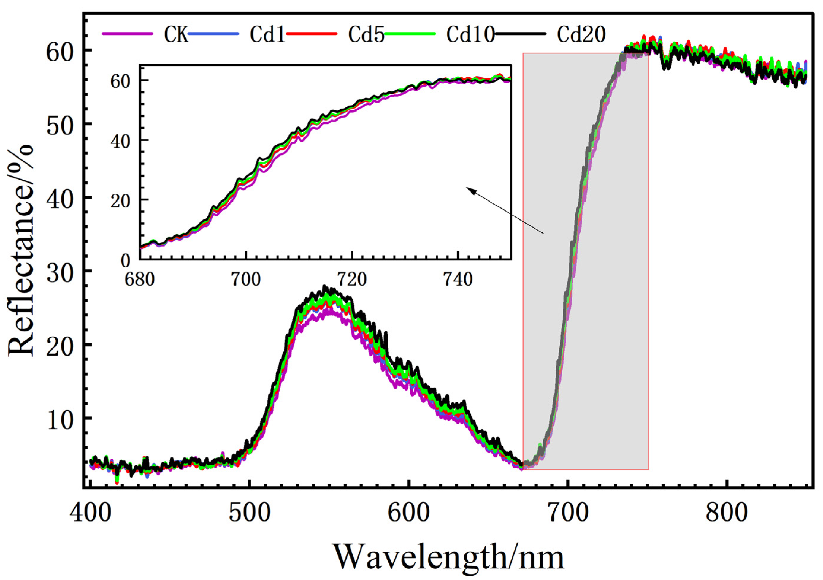 Agronomy 14 00644 g003
