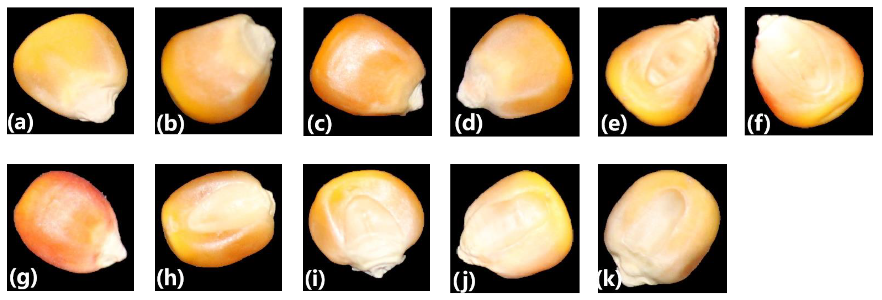 Agronomy 14 00645 g001