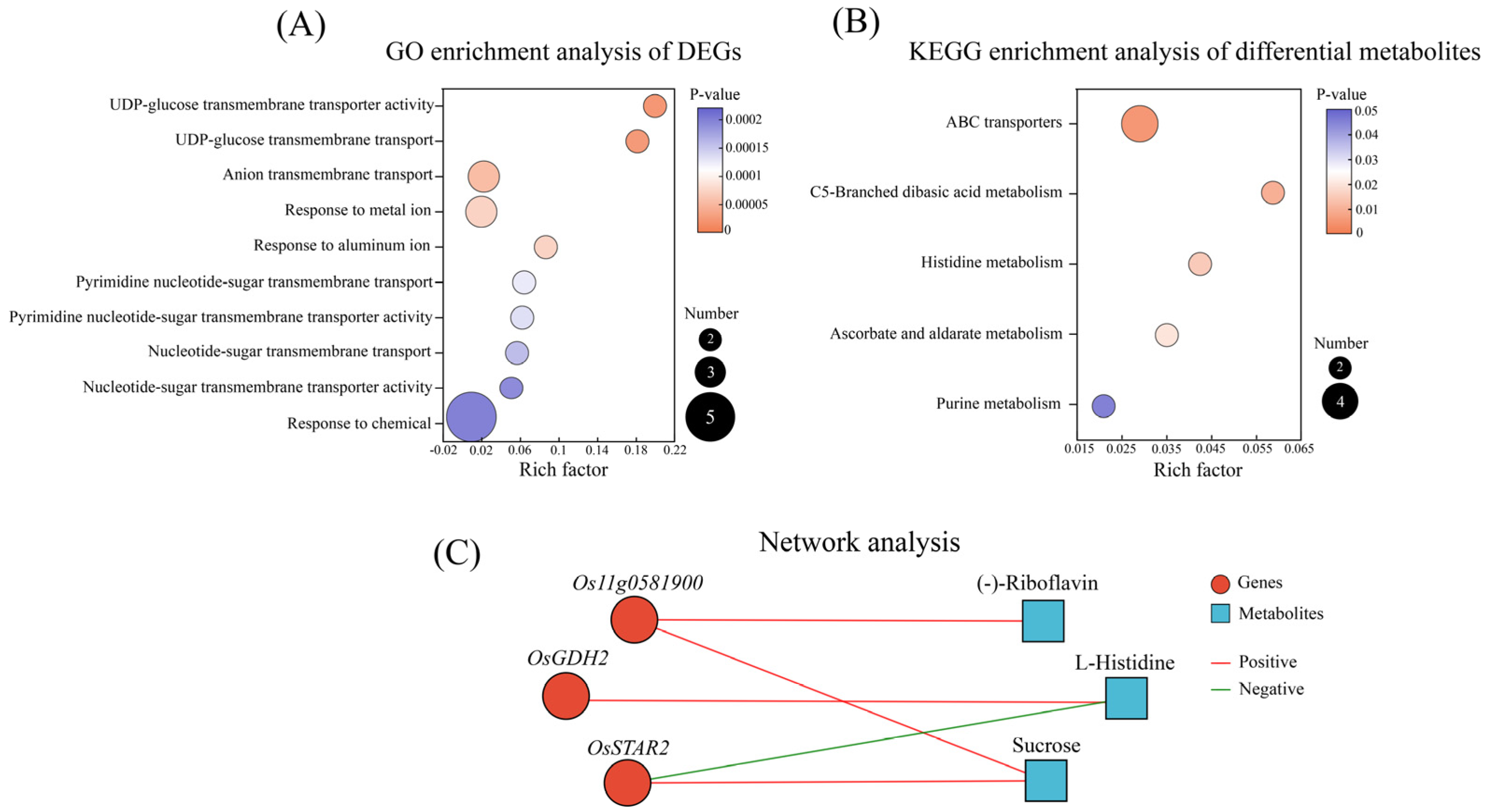 Agronomy 14 00649 g005 Agronomy 14 00649 g005