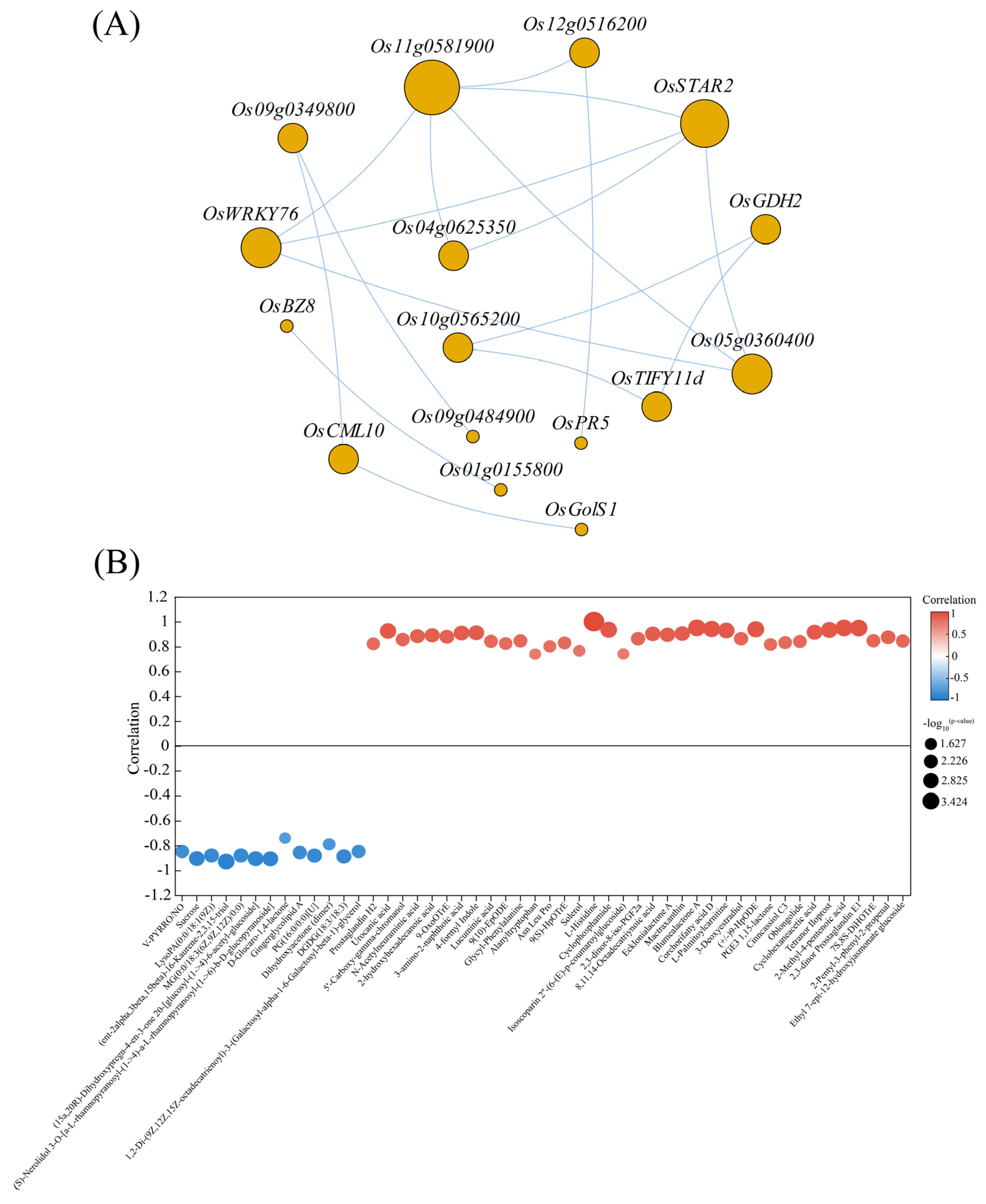 Agronomy 14 00649 g006 Agronomy 14 00649 g006