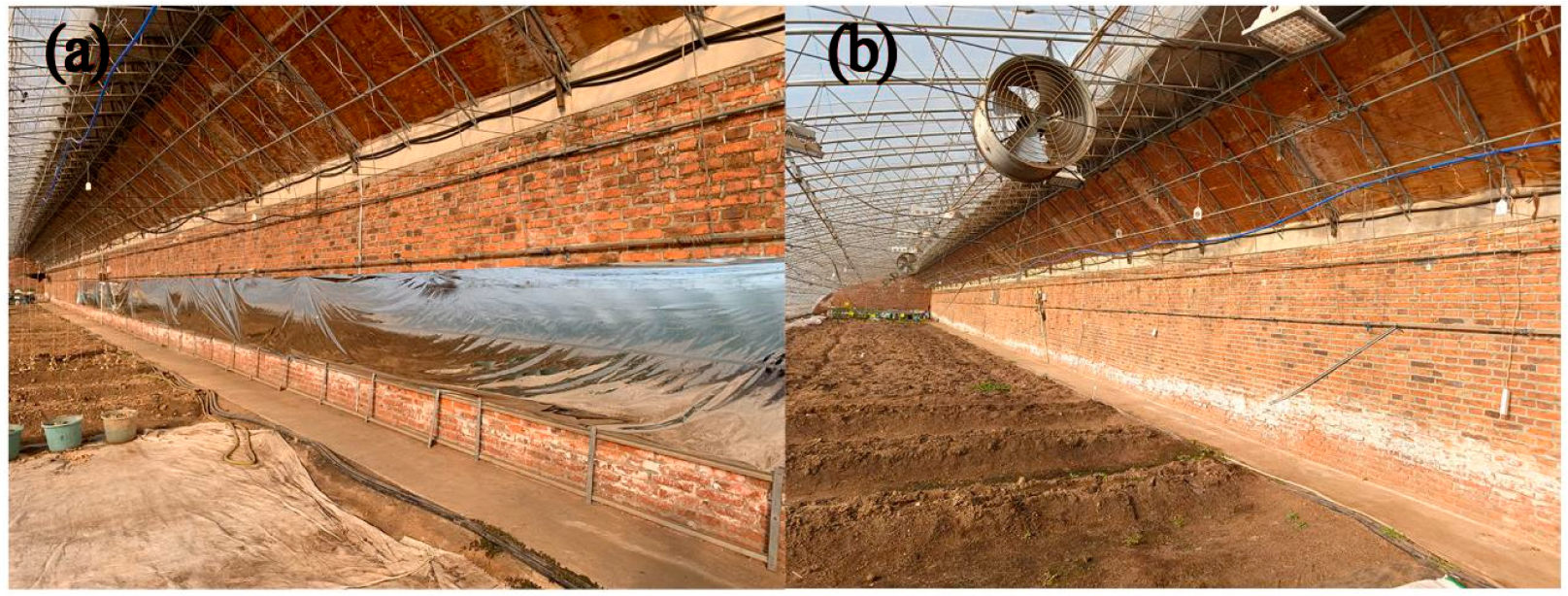 Agronomy 14 00652 g003