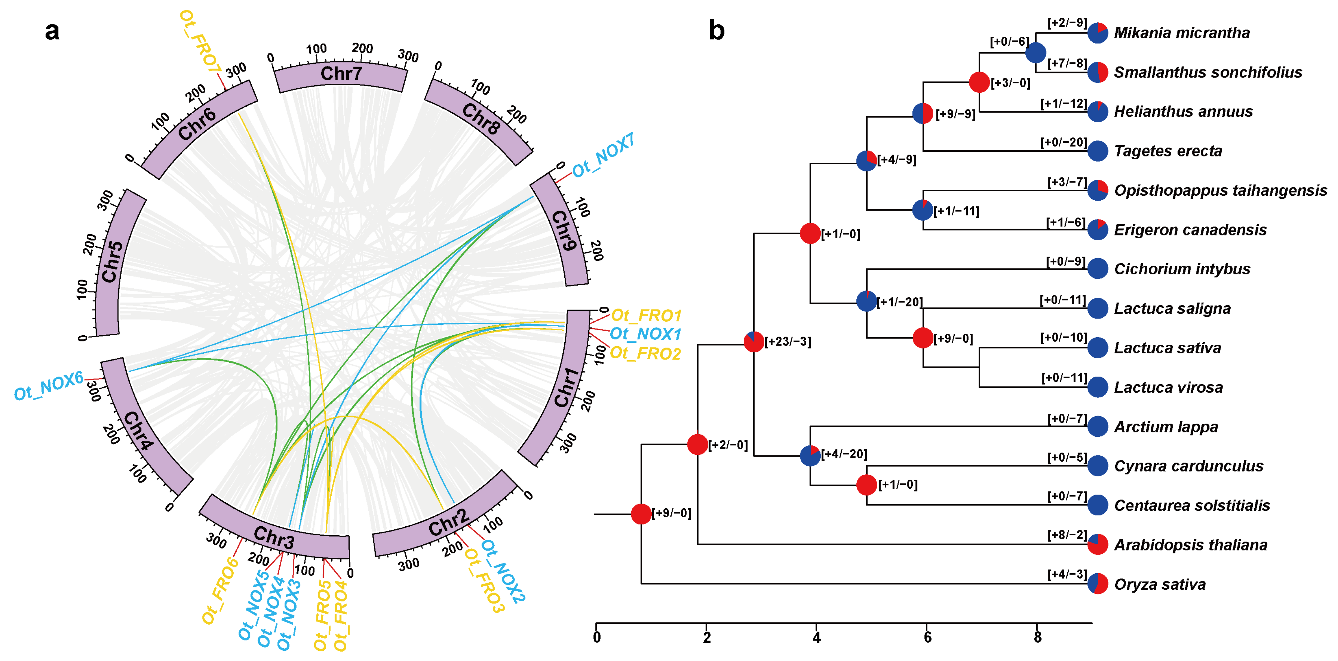 Agronomy 14 00653 g004