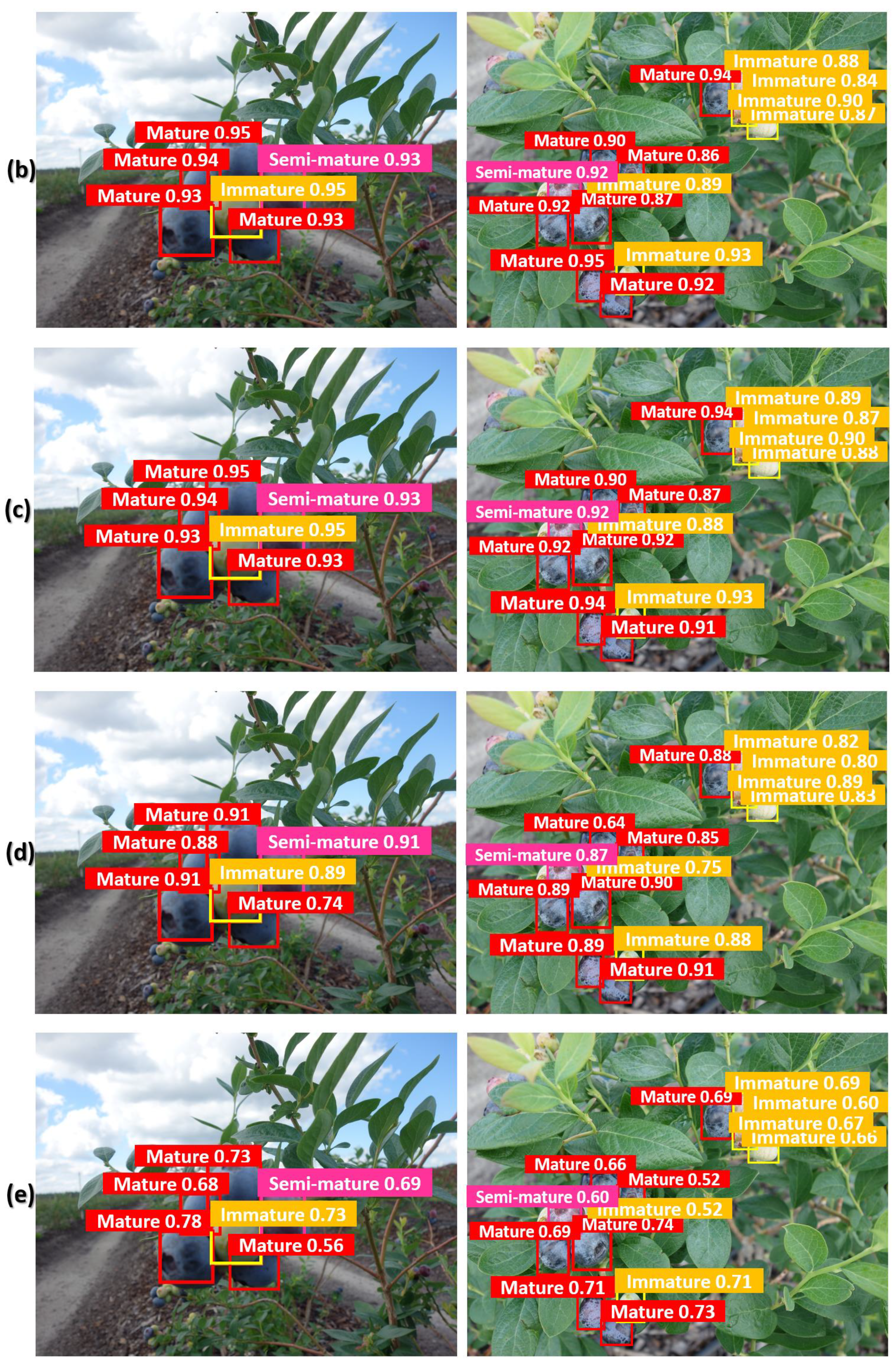 Agronomy 14 00658 g014b