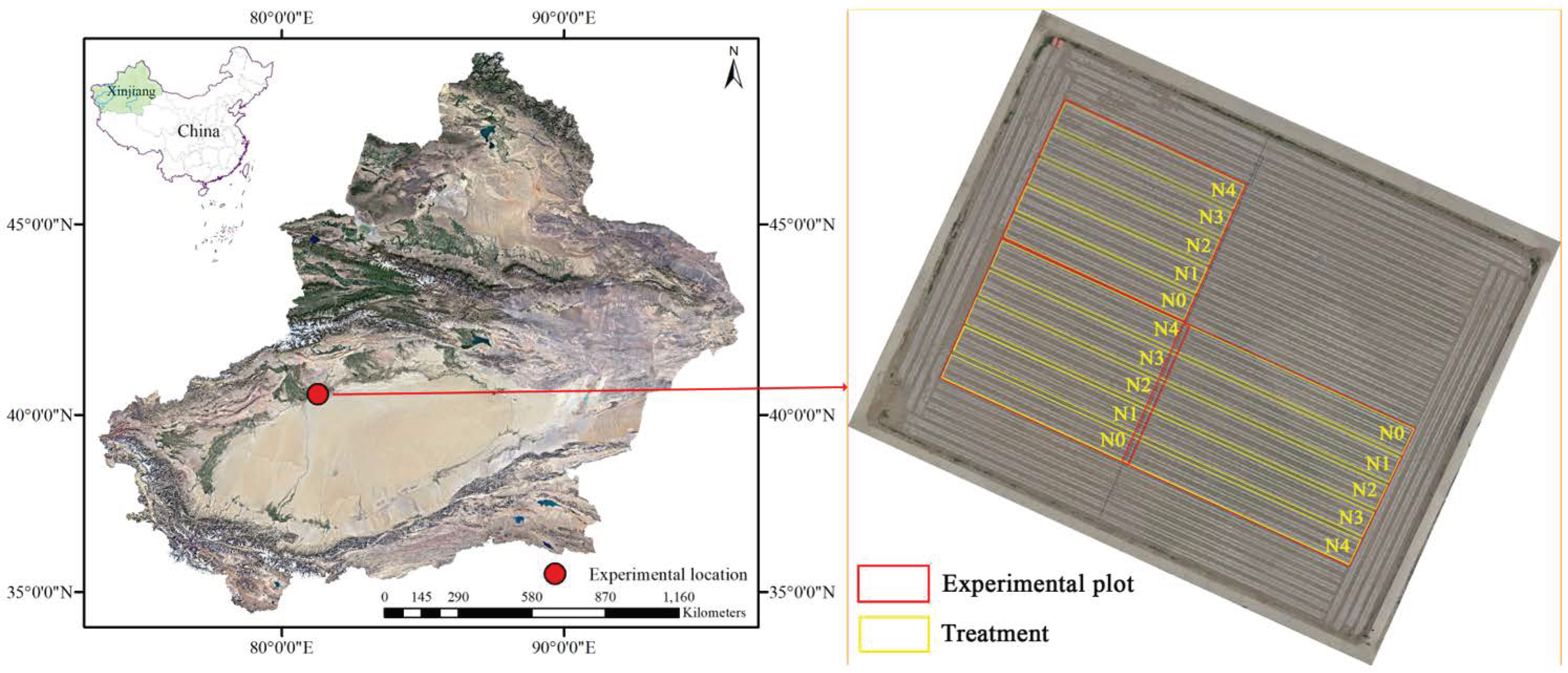 Agronomy 14 00662 g001