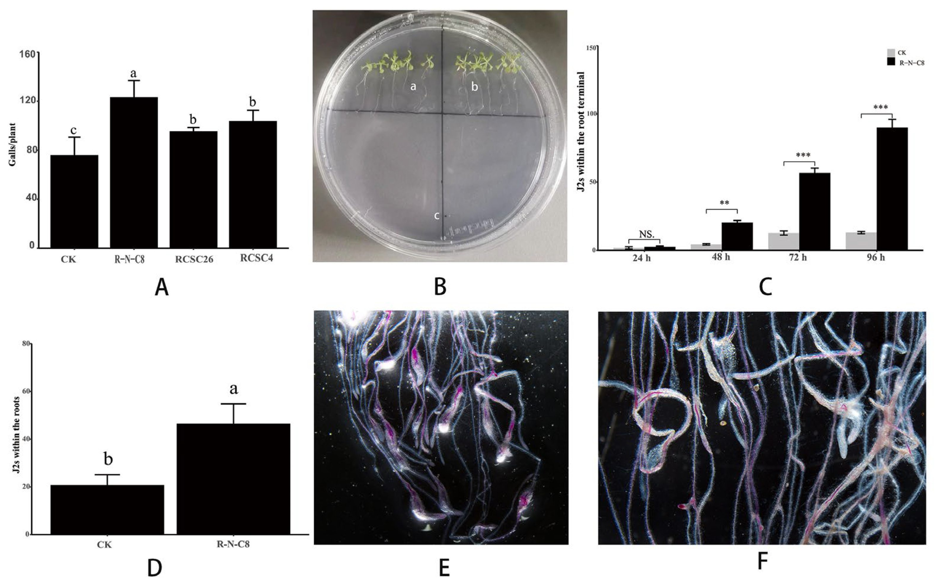 Agronomy 14 00664 g003