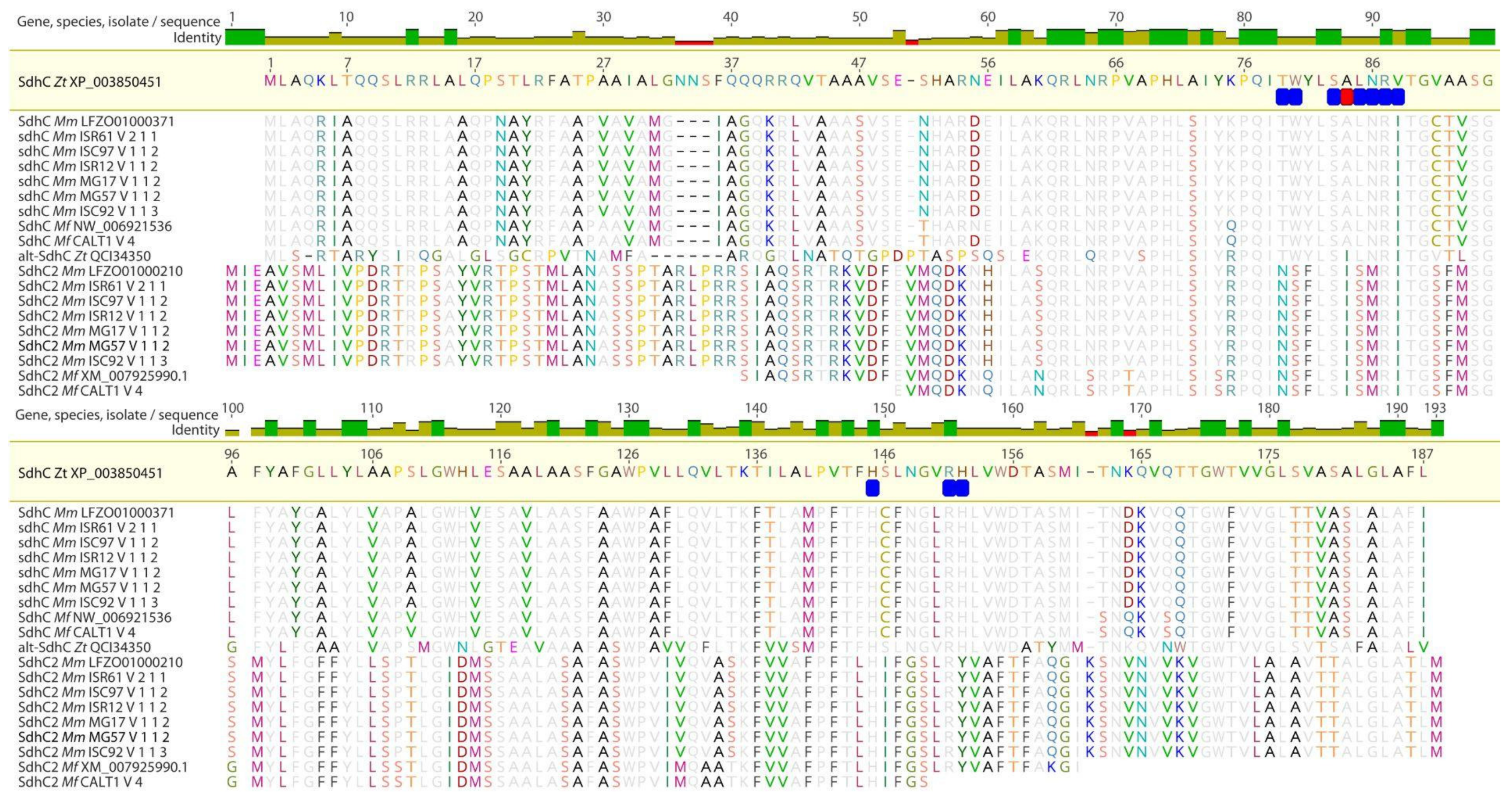 Agronomy 14 00666 g005