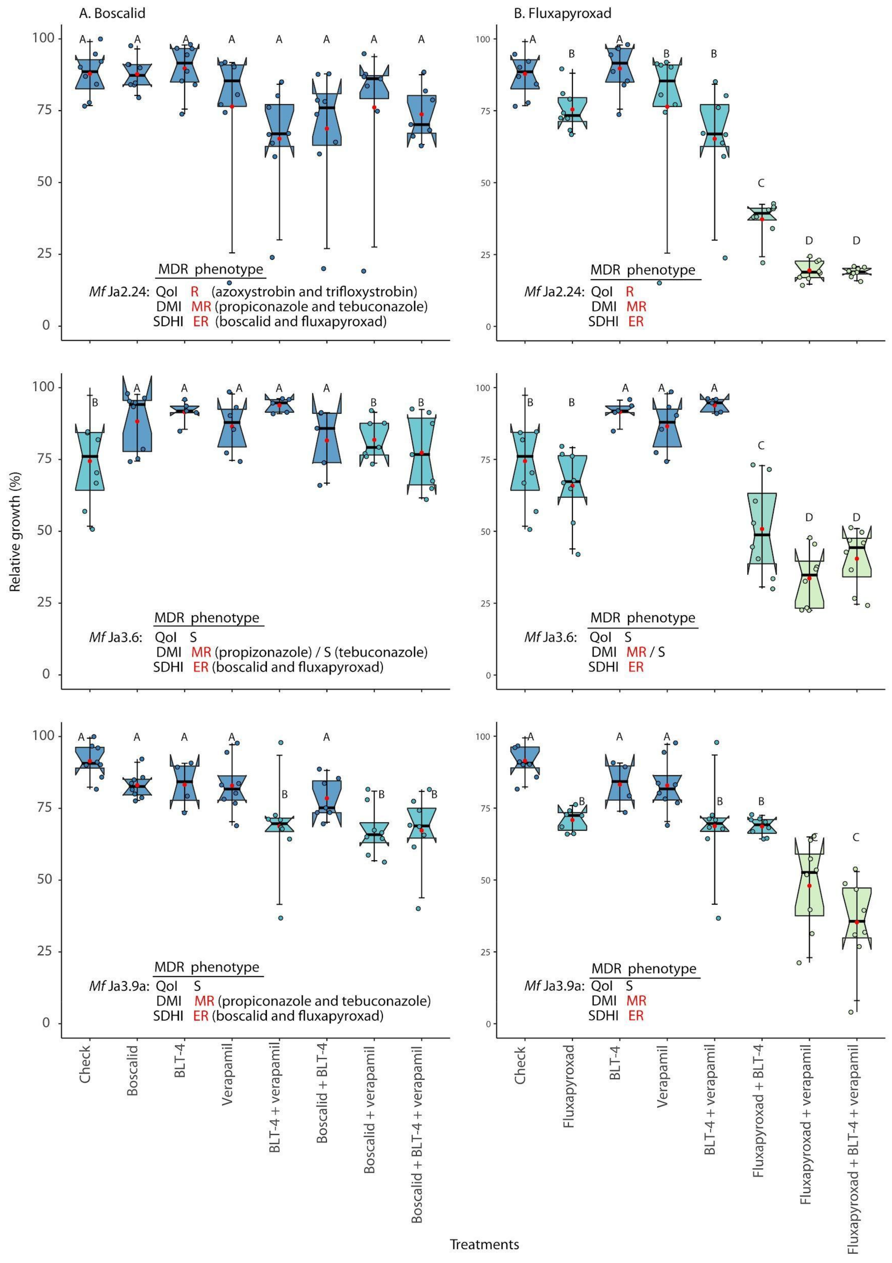 Agronomy 14 00666 g006