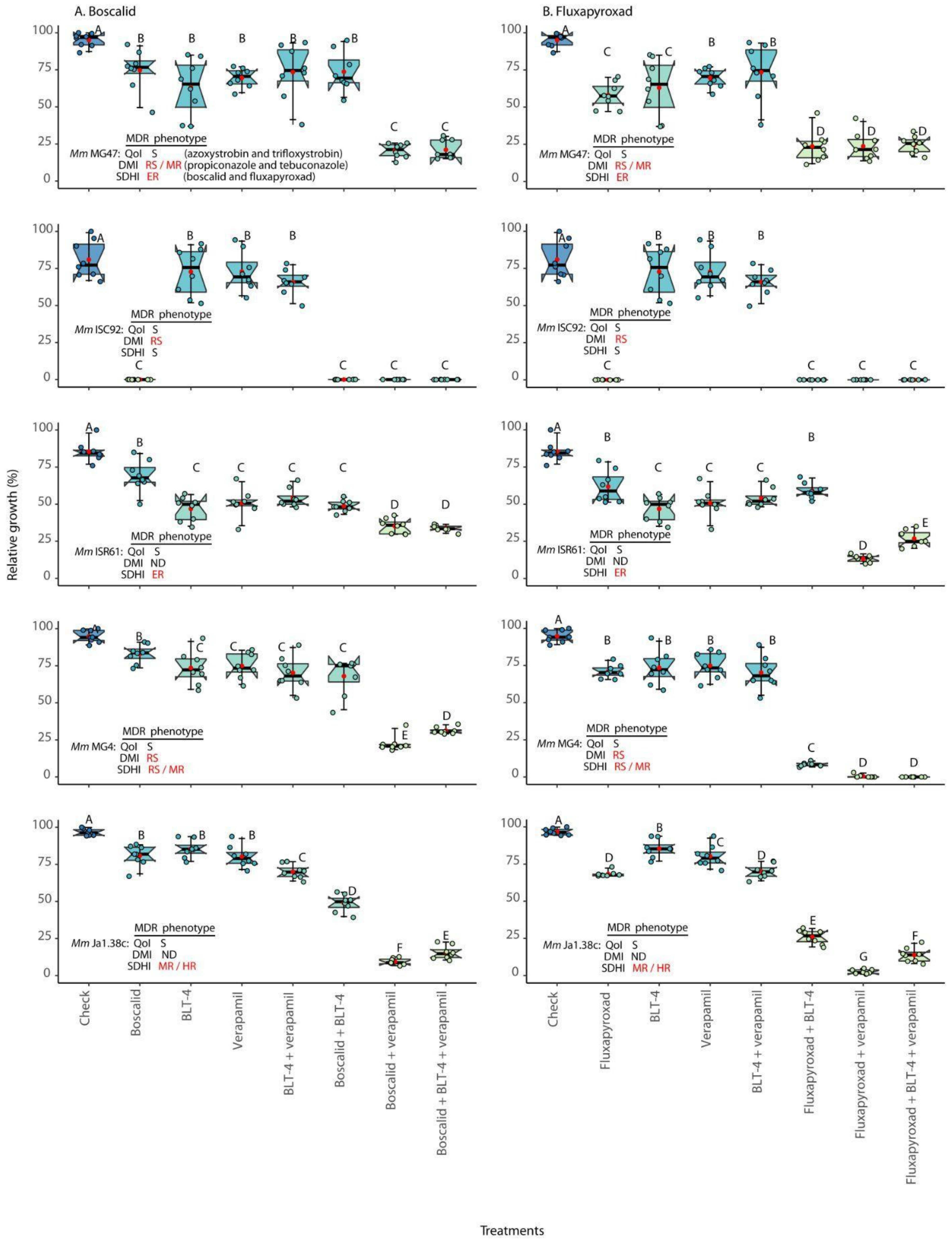 Agronomy 14 00666 g007