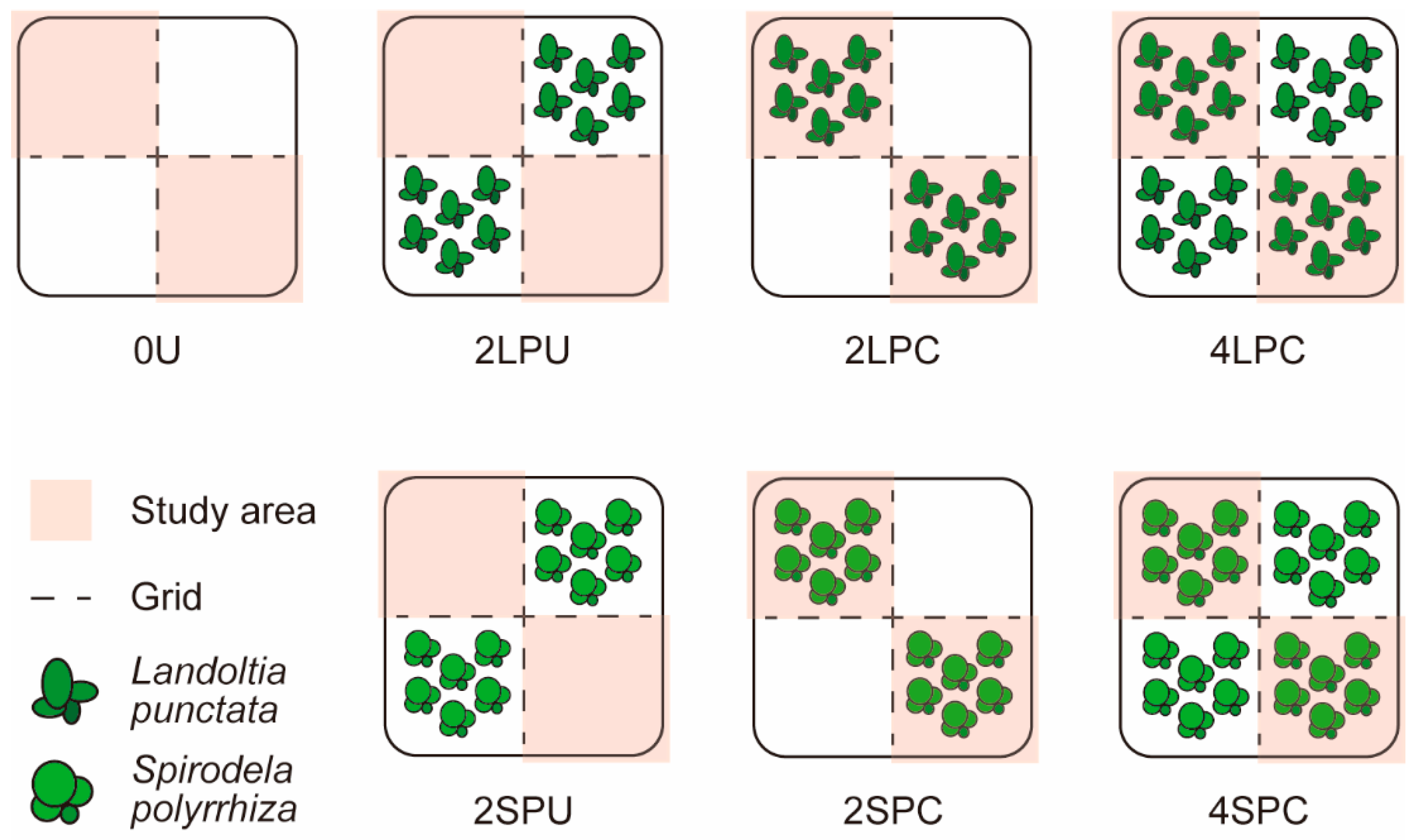 Agronomy 14 00670 g001