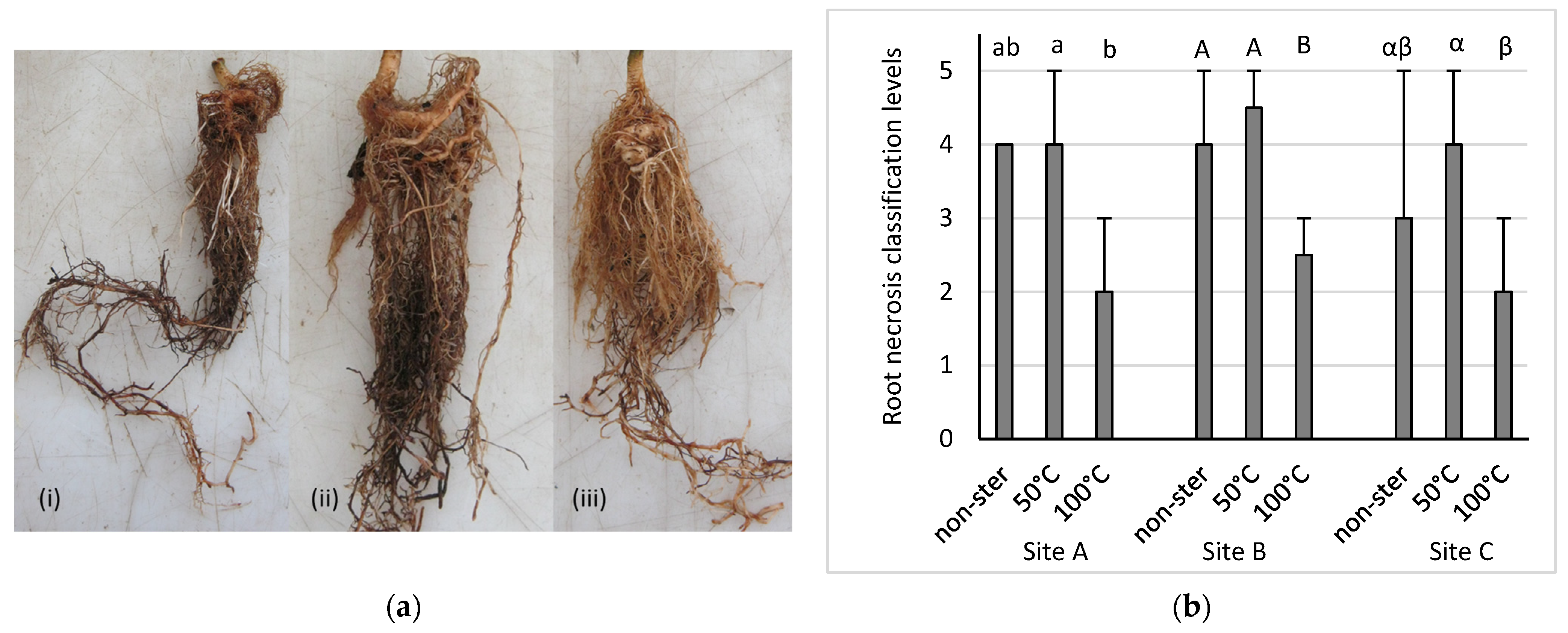 Agronomy 14 00678 g001