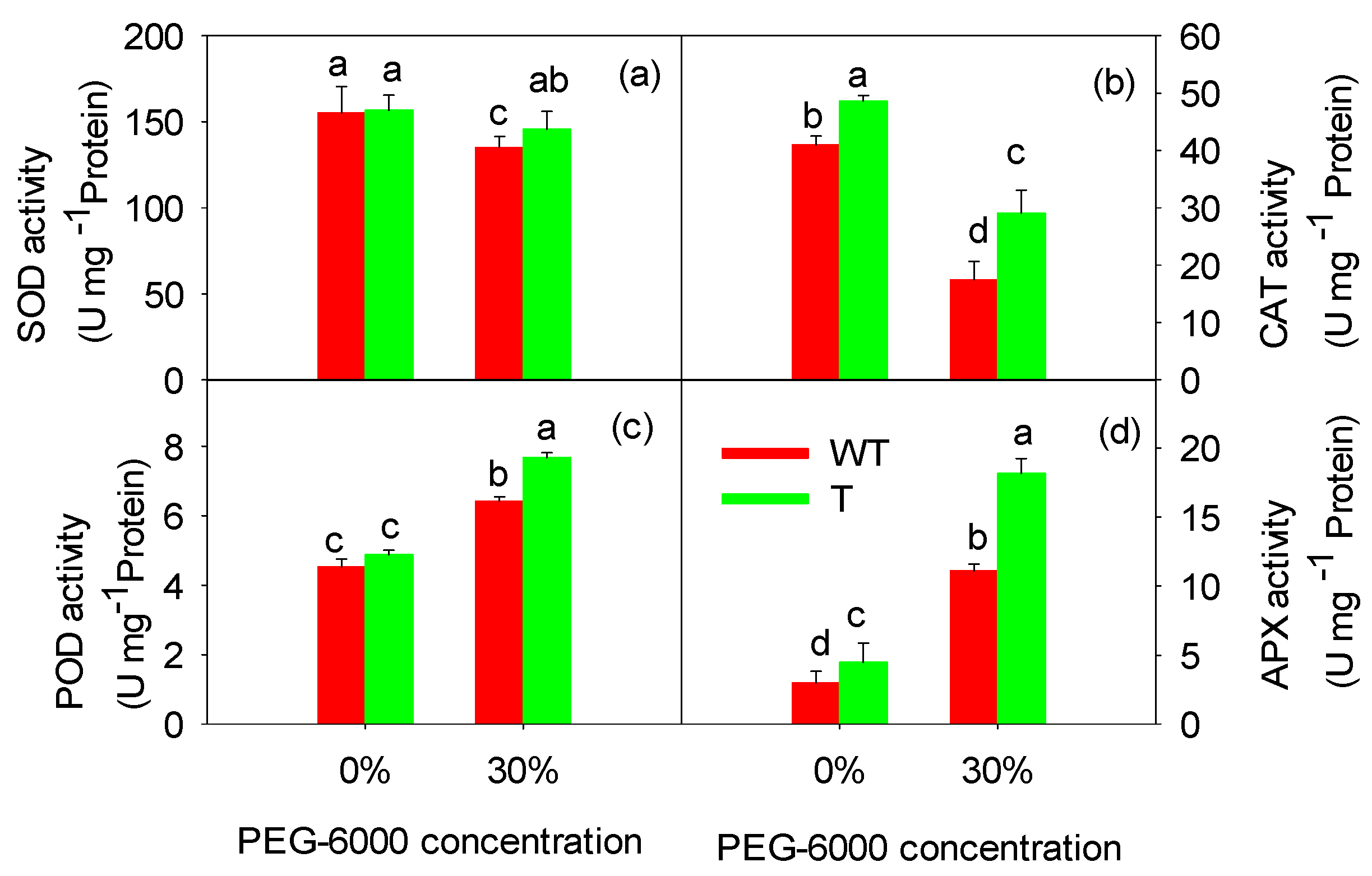 Agronomy 14 00690 g006