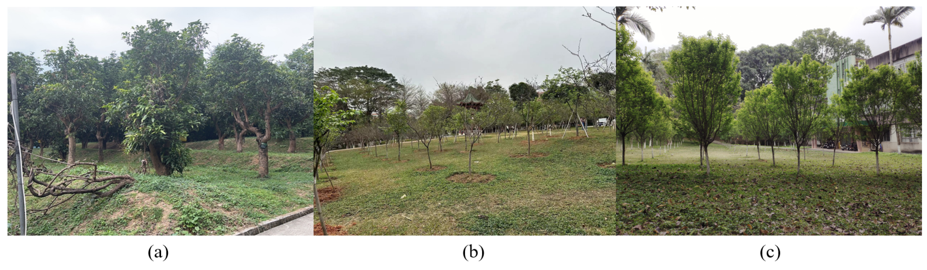 Agronomy 14 00697 g001