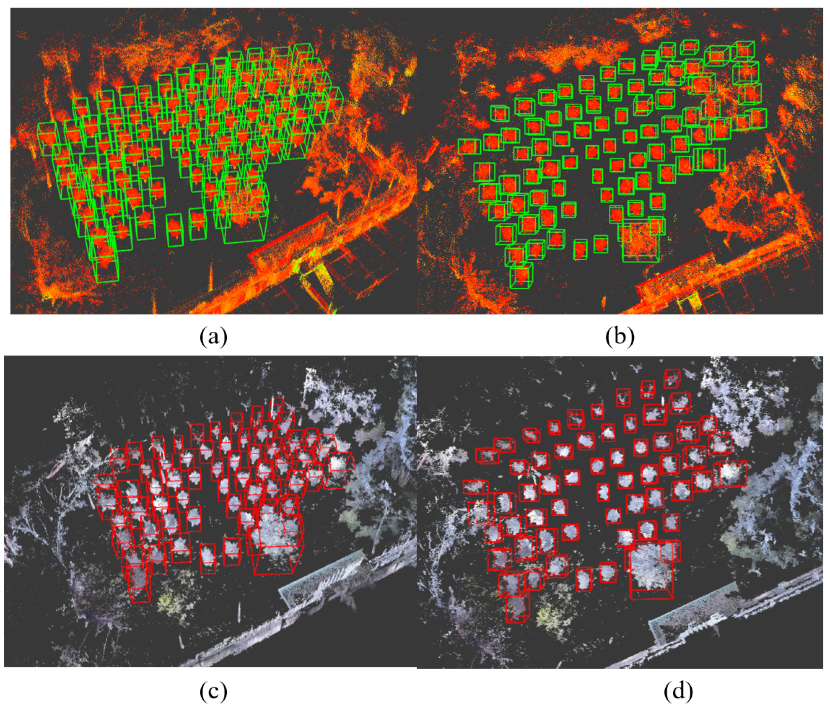 Agronomy 14 00697 g014
