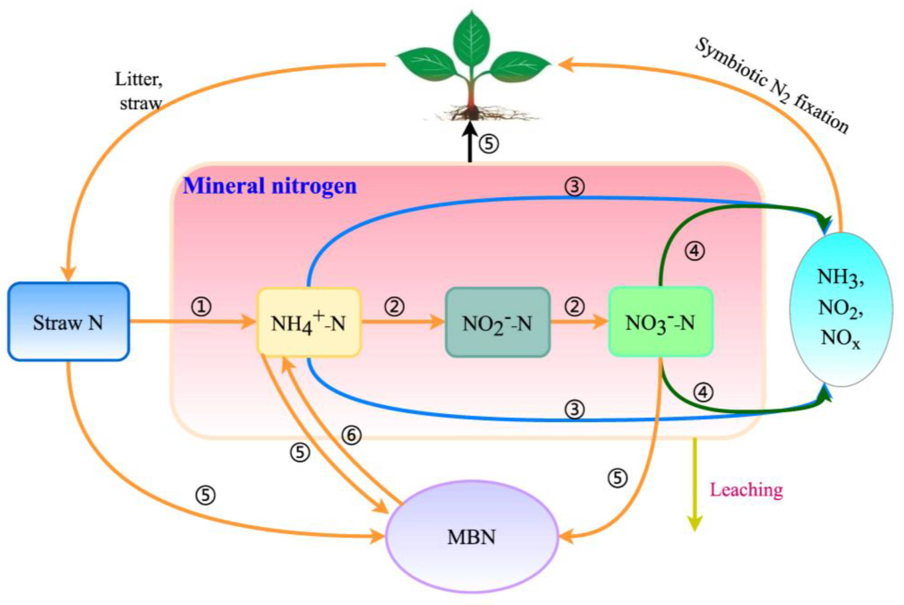 Agronomy 14 00698 g004