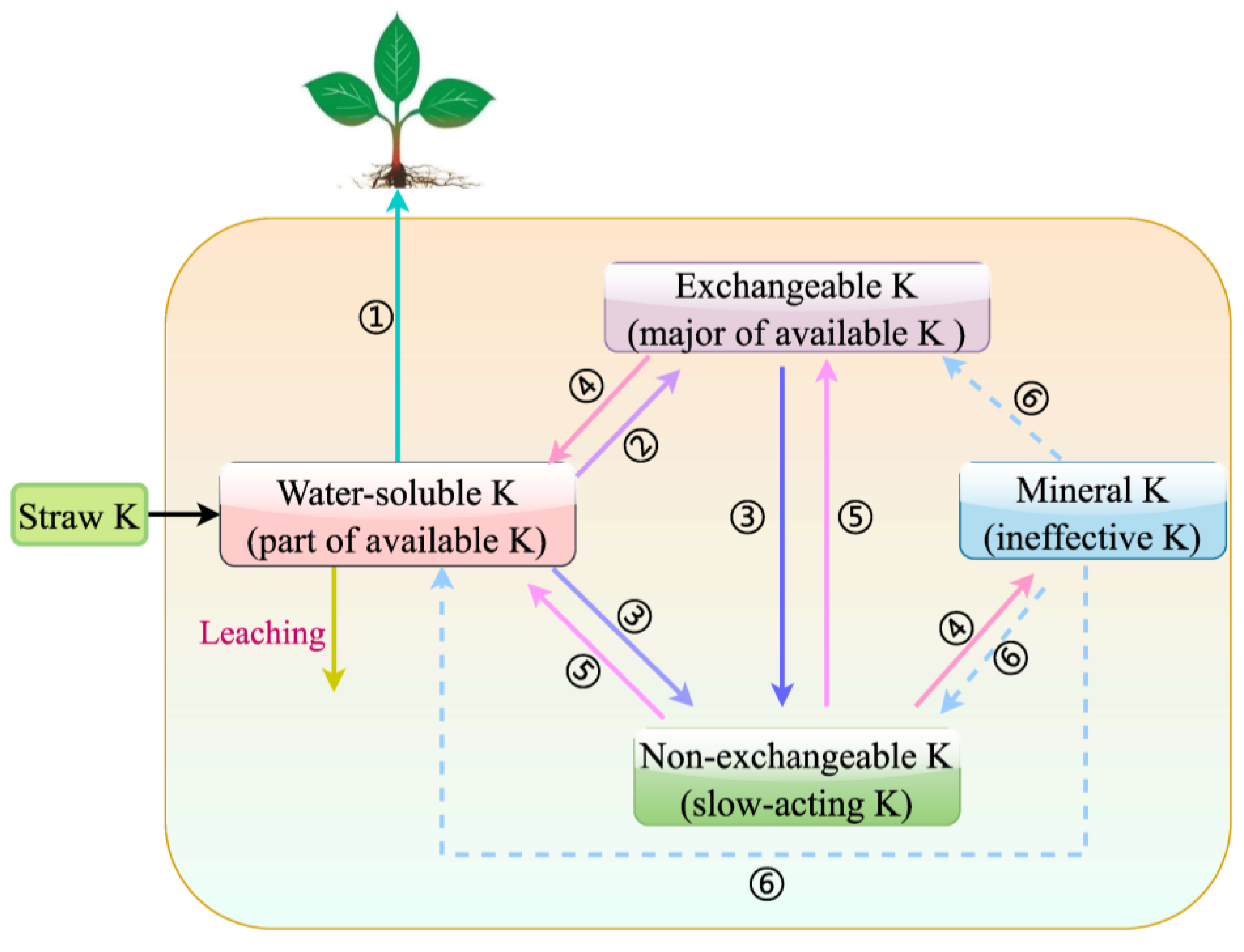 Agronomy 14 00698 g006