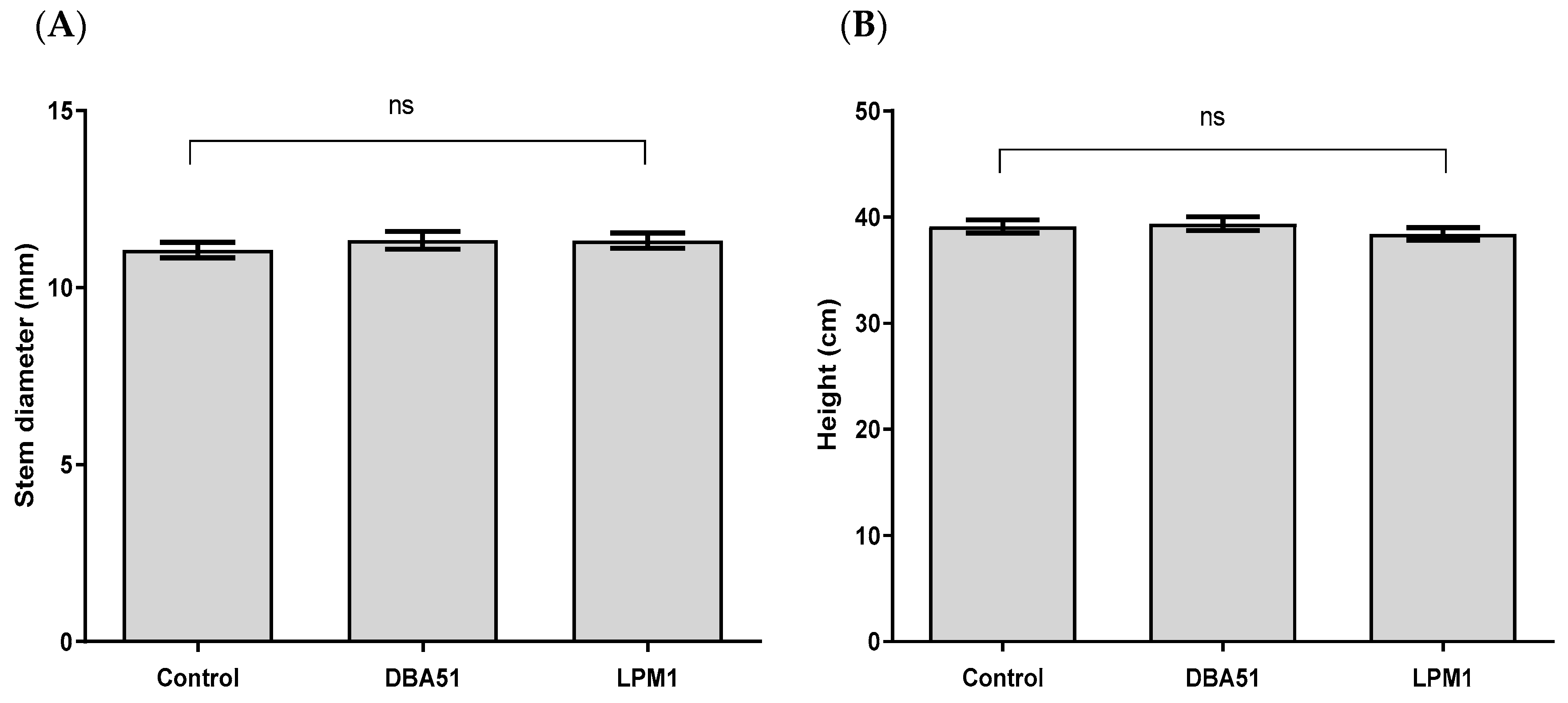 Agronomy 14 00702 g002