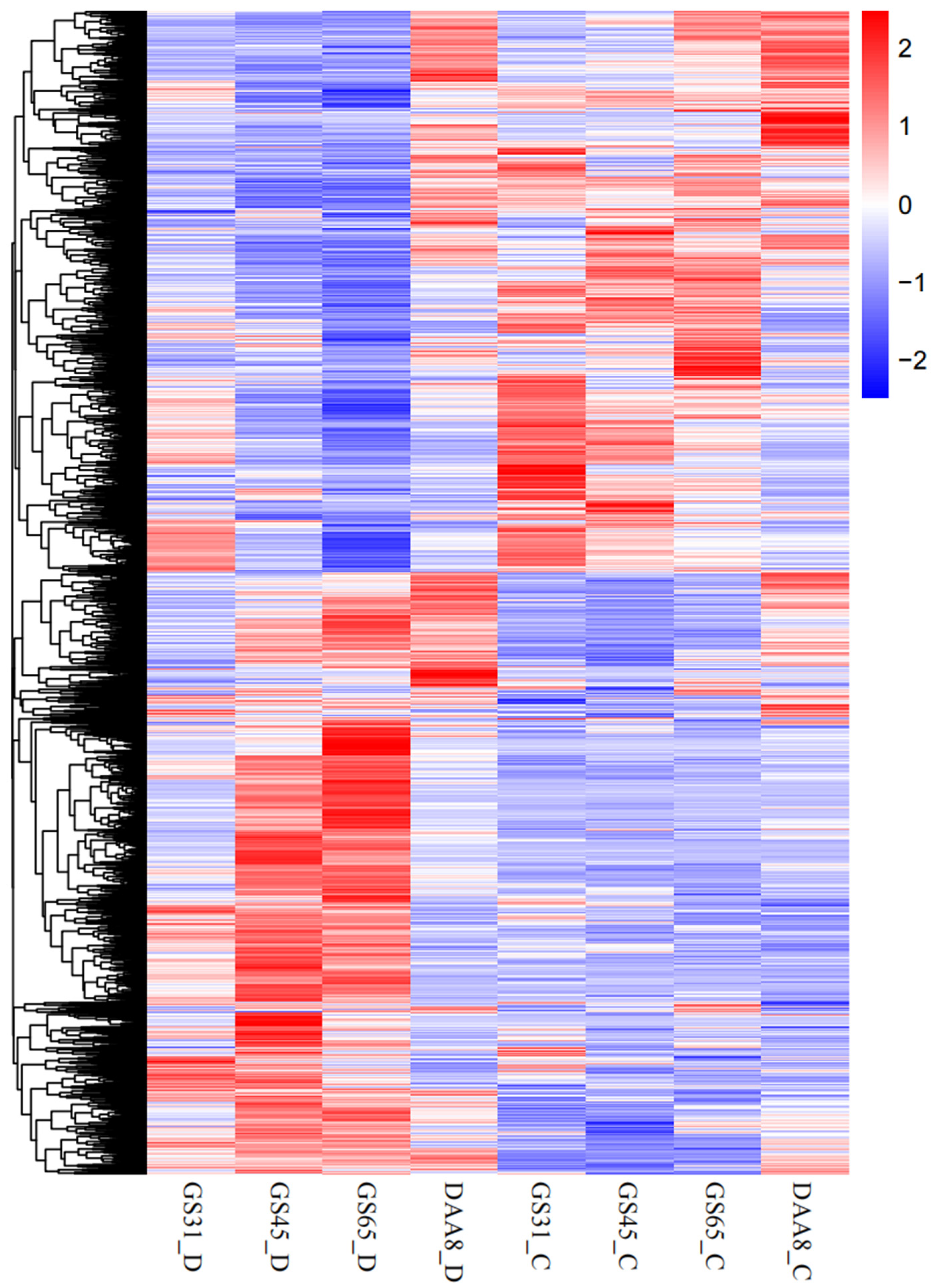 Agronomy 14 00704 g003