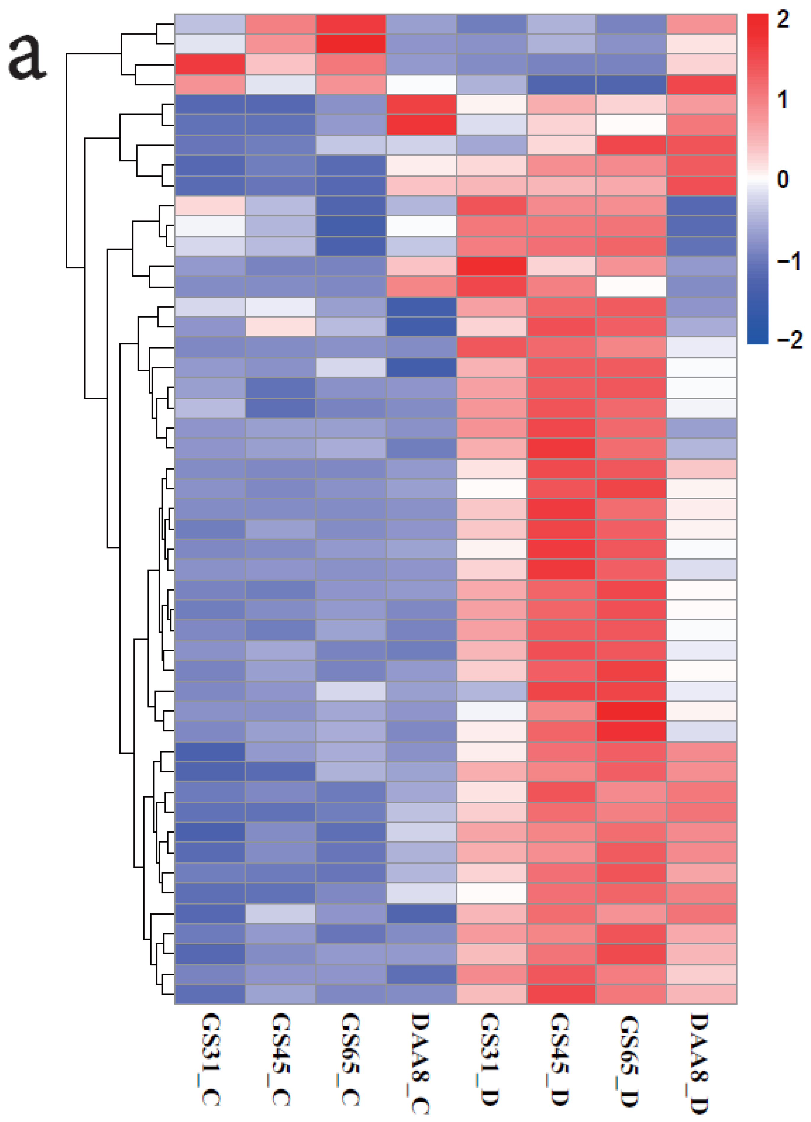 Agronomy 14 00704 g005a