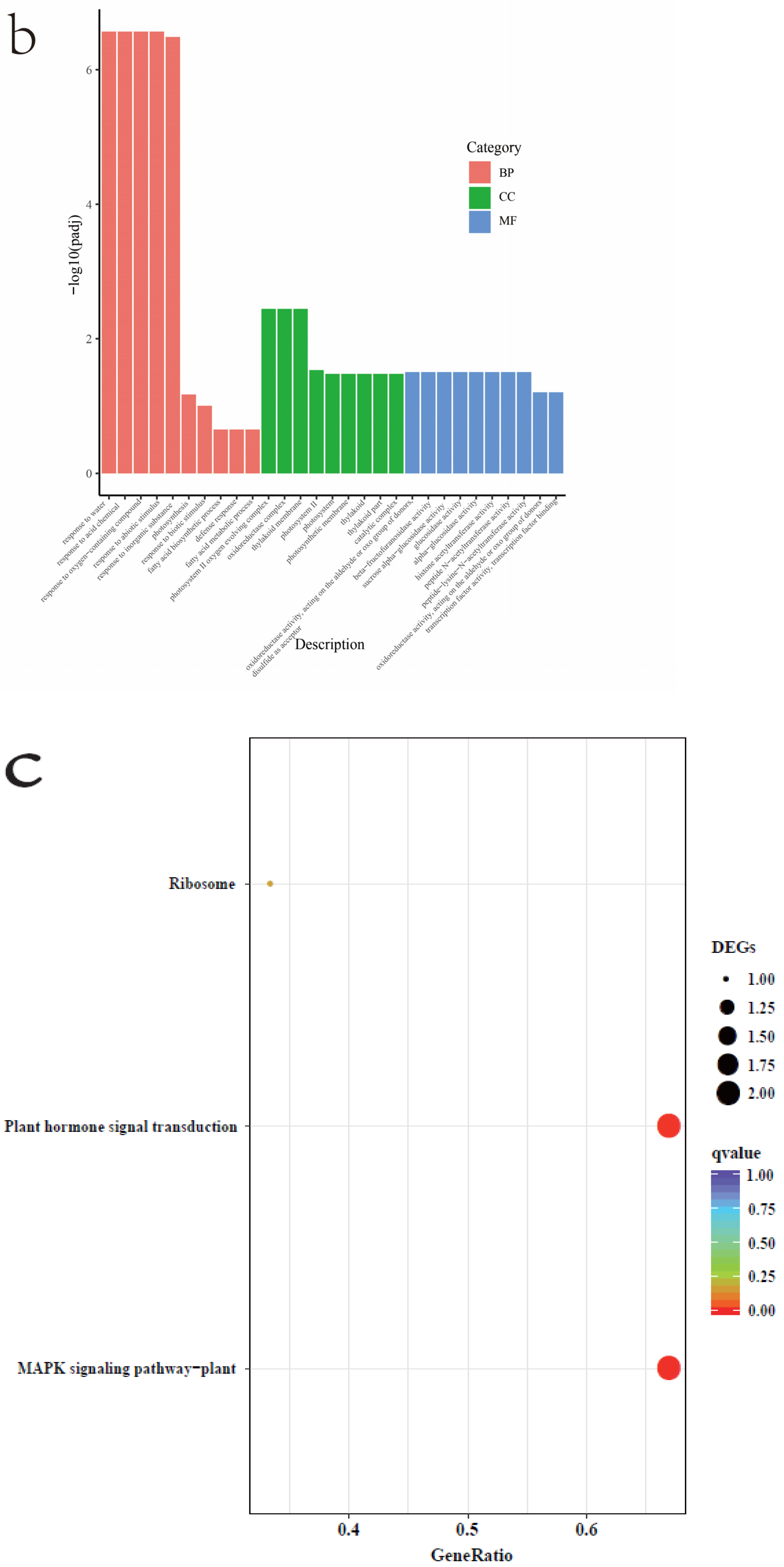 Agronomy 14 00704 g005b