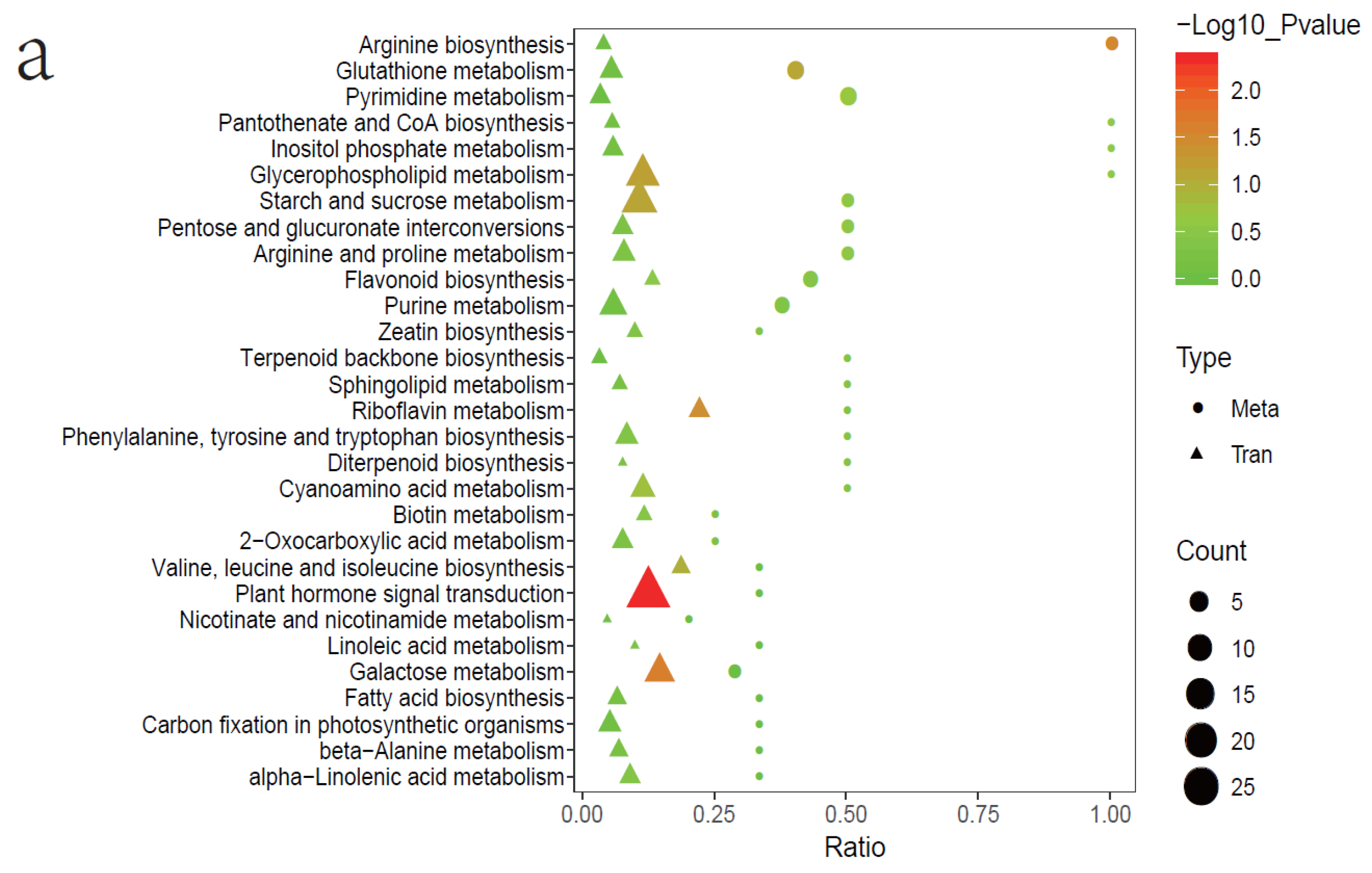 Agronomy 14 00704 g007a