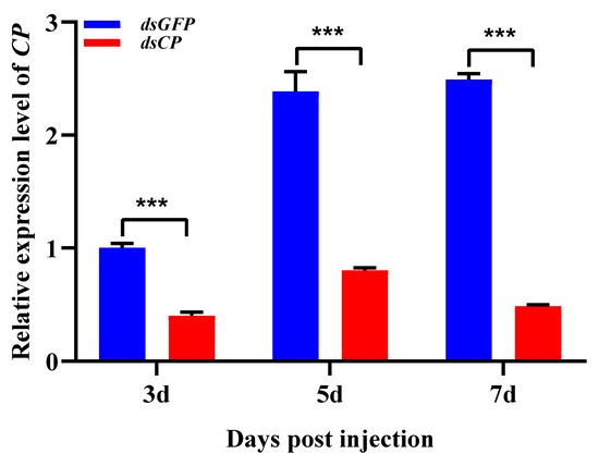 Rice Stripe Virus Infection Facilitates the Reproductive