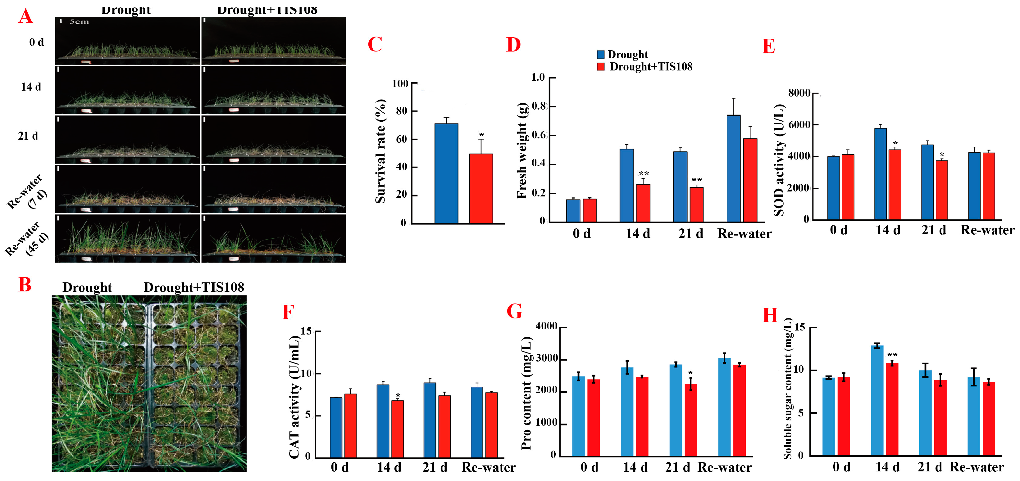 Agronomy 14 00725 g002 Agronomy 14 00725 g002