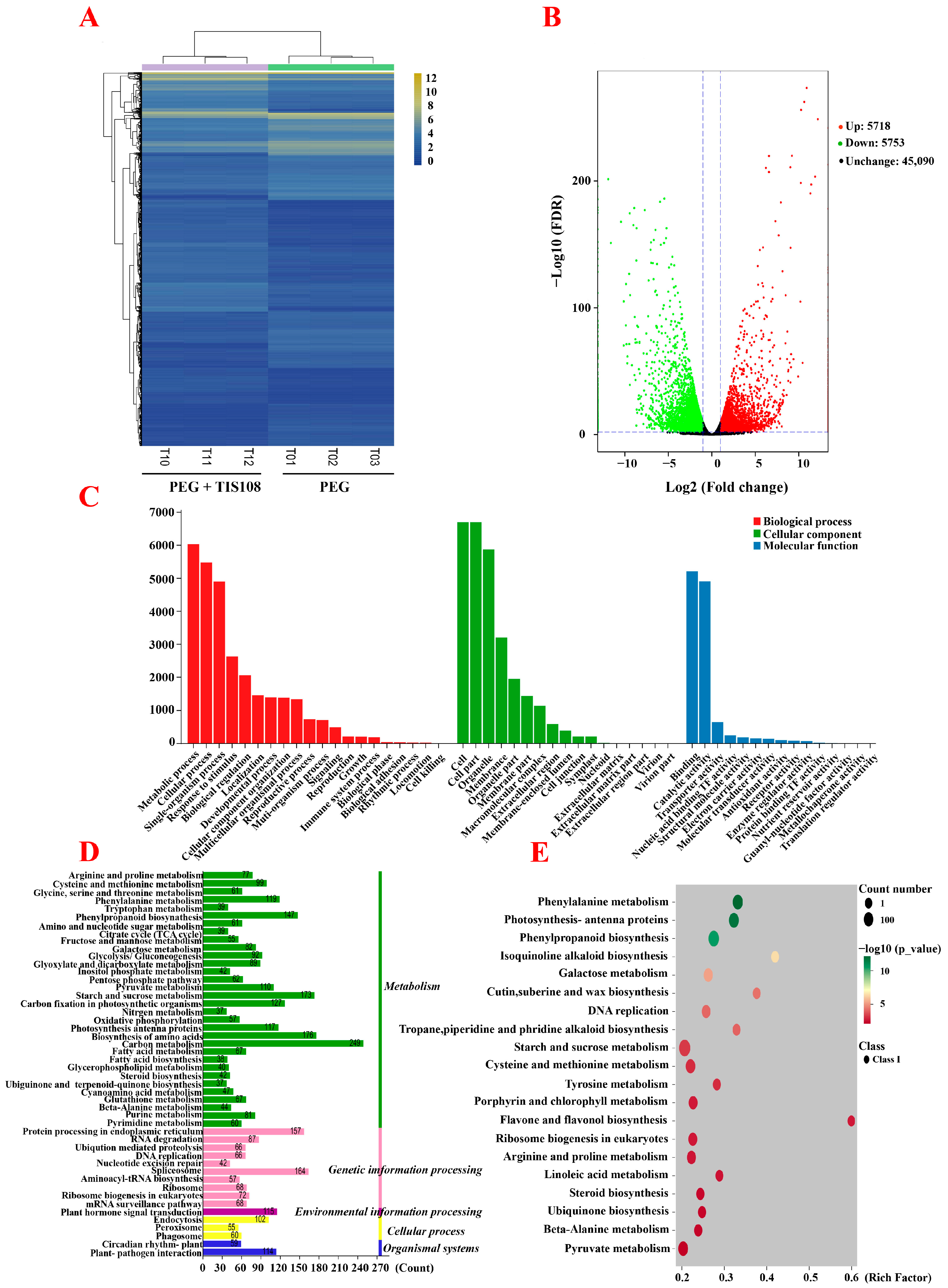 Agronomy 14 00725 g003 Agronomy 14 00725 g003