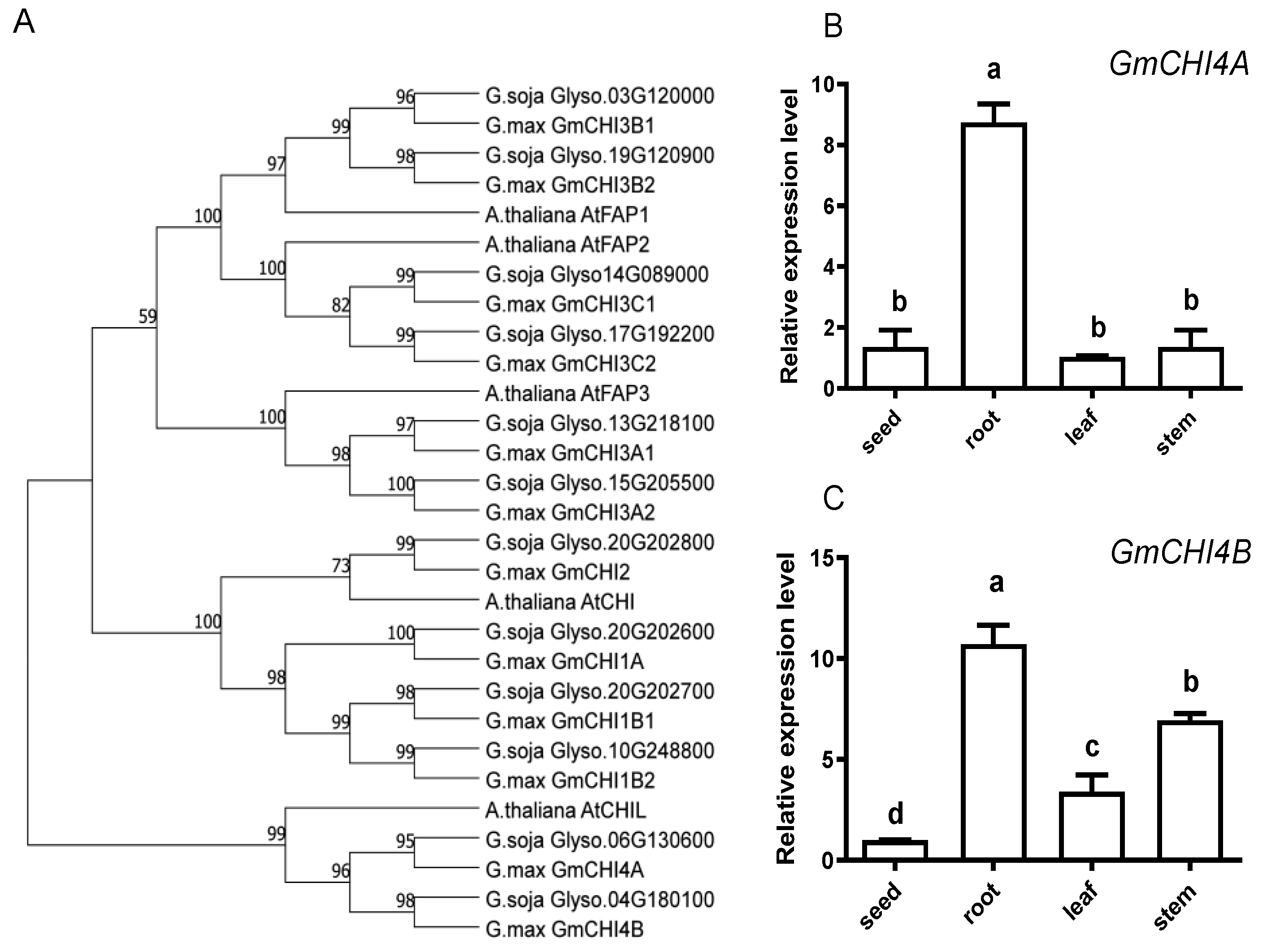 Agronomy 14 00731 g001