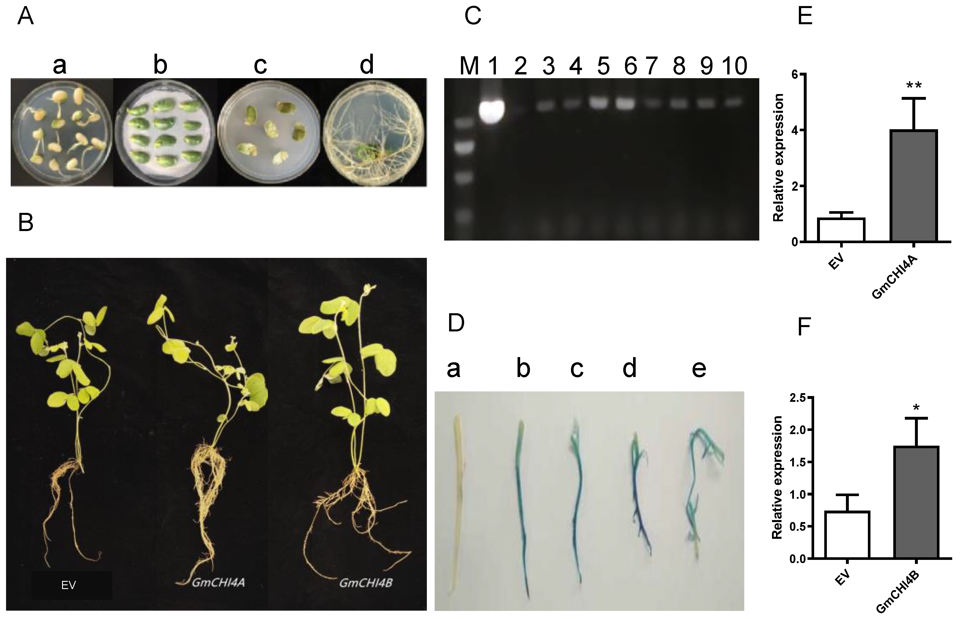 Agronomy 14 00731 g002