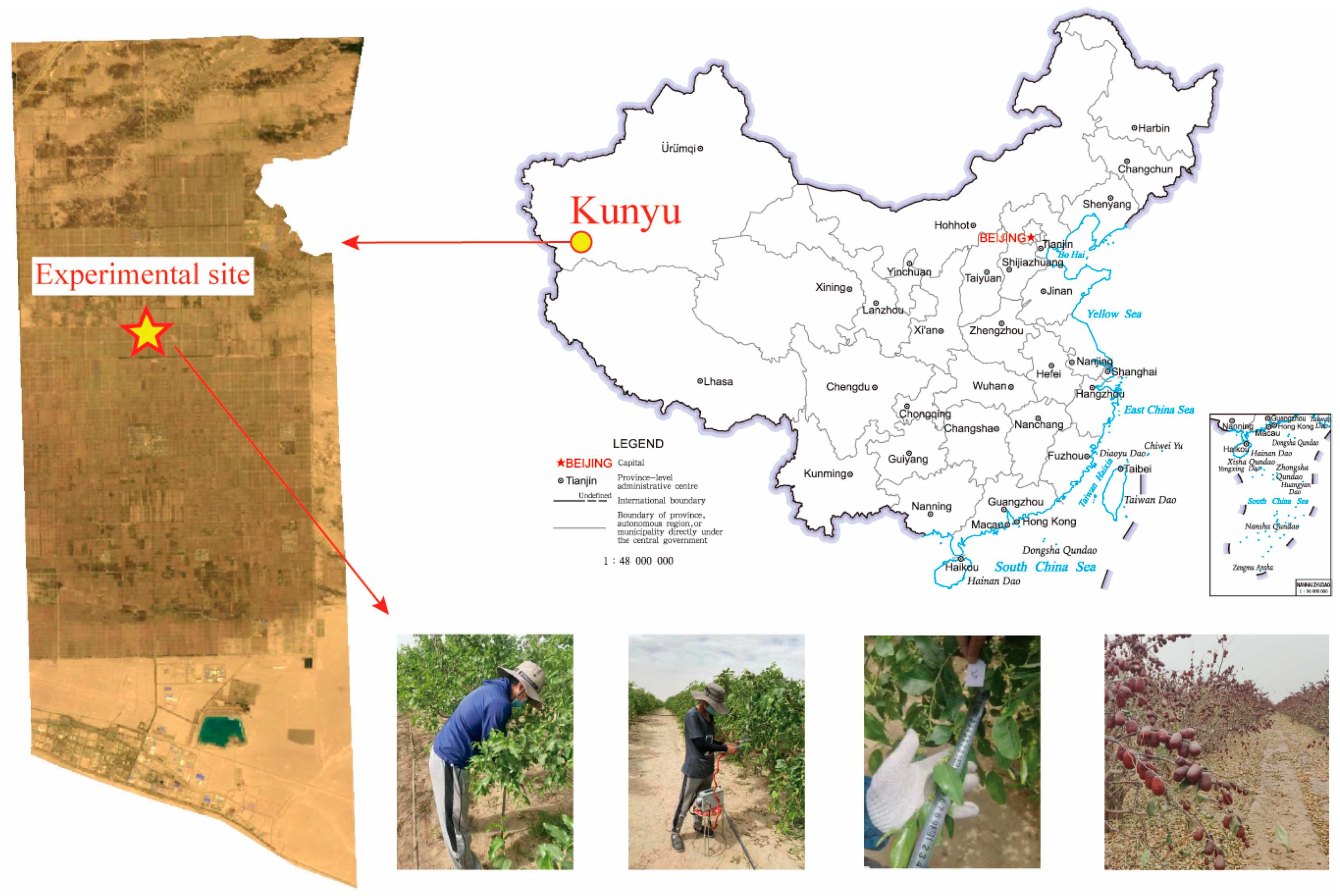 Agronomy 14 00741 g001