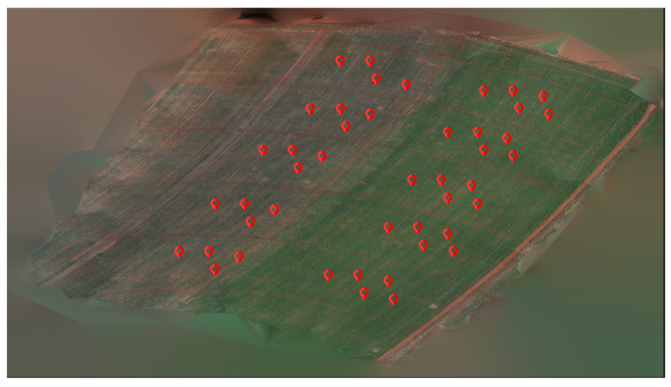 Agronomy 14 00750 g001