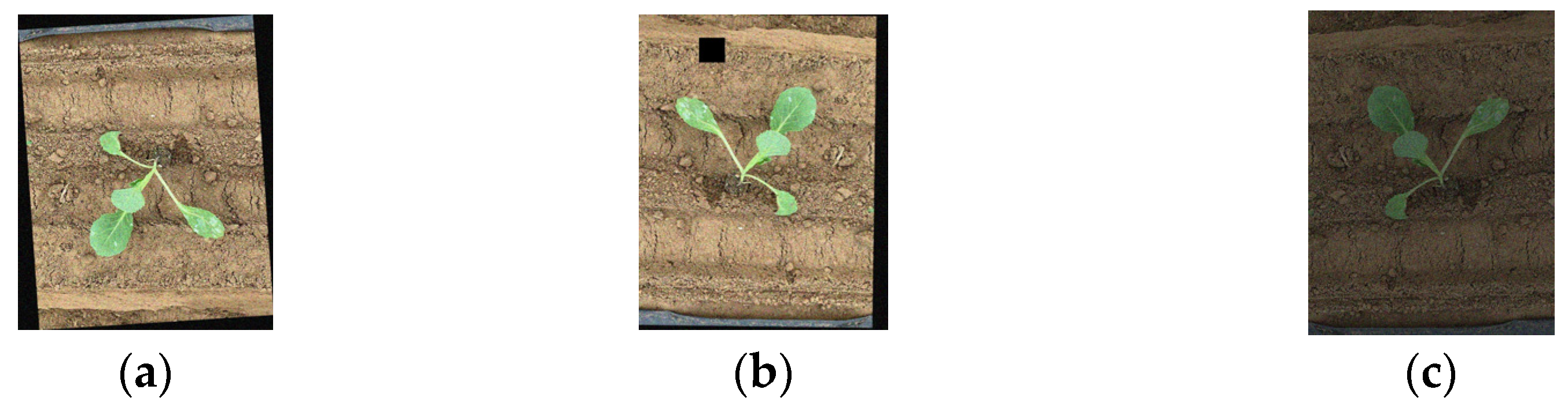 Agronomy 14 00760 g001