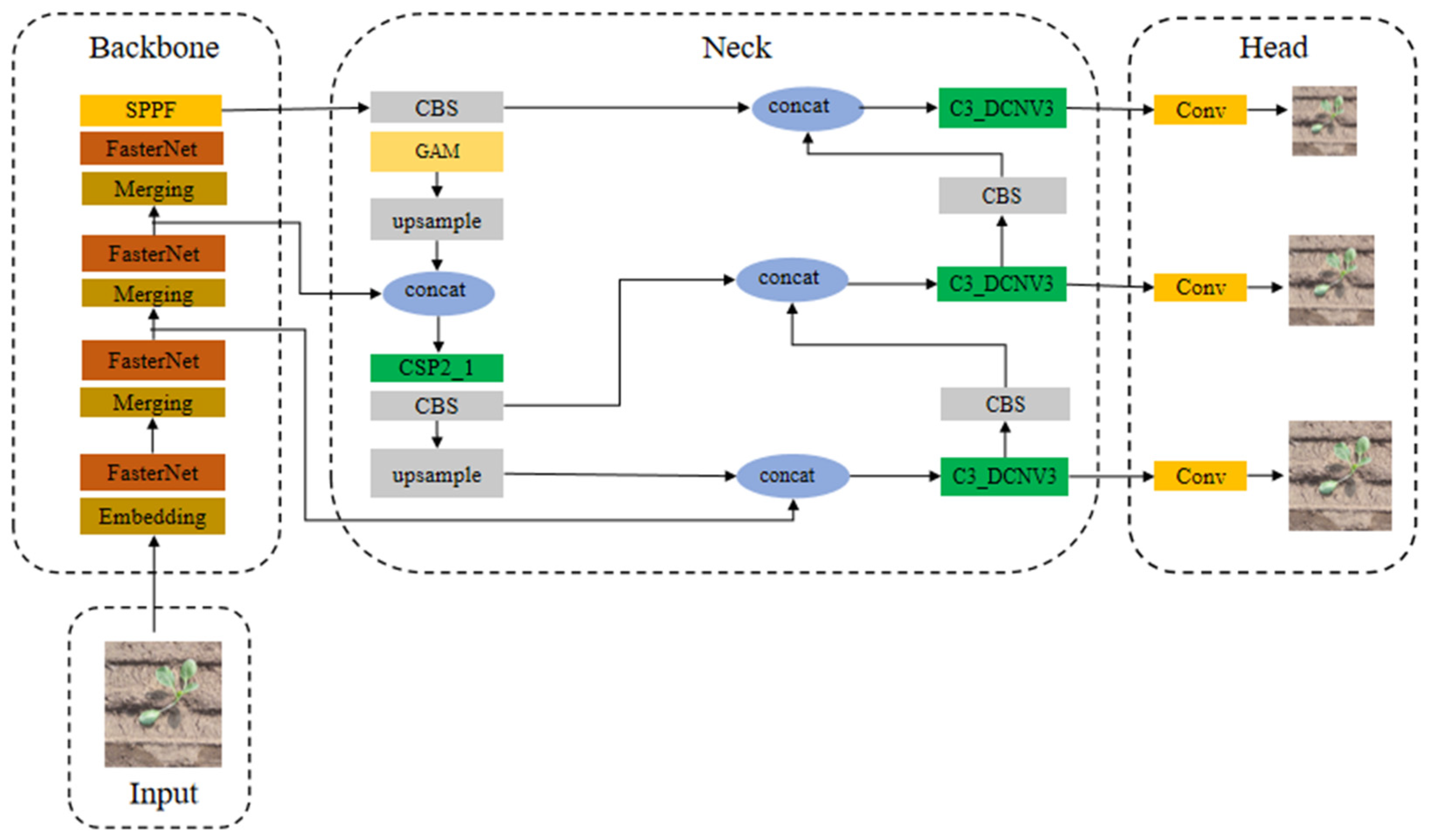 Agronomy 14 00760 g005