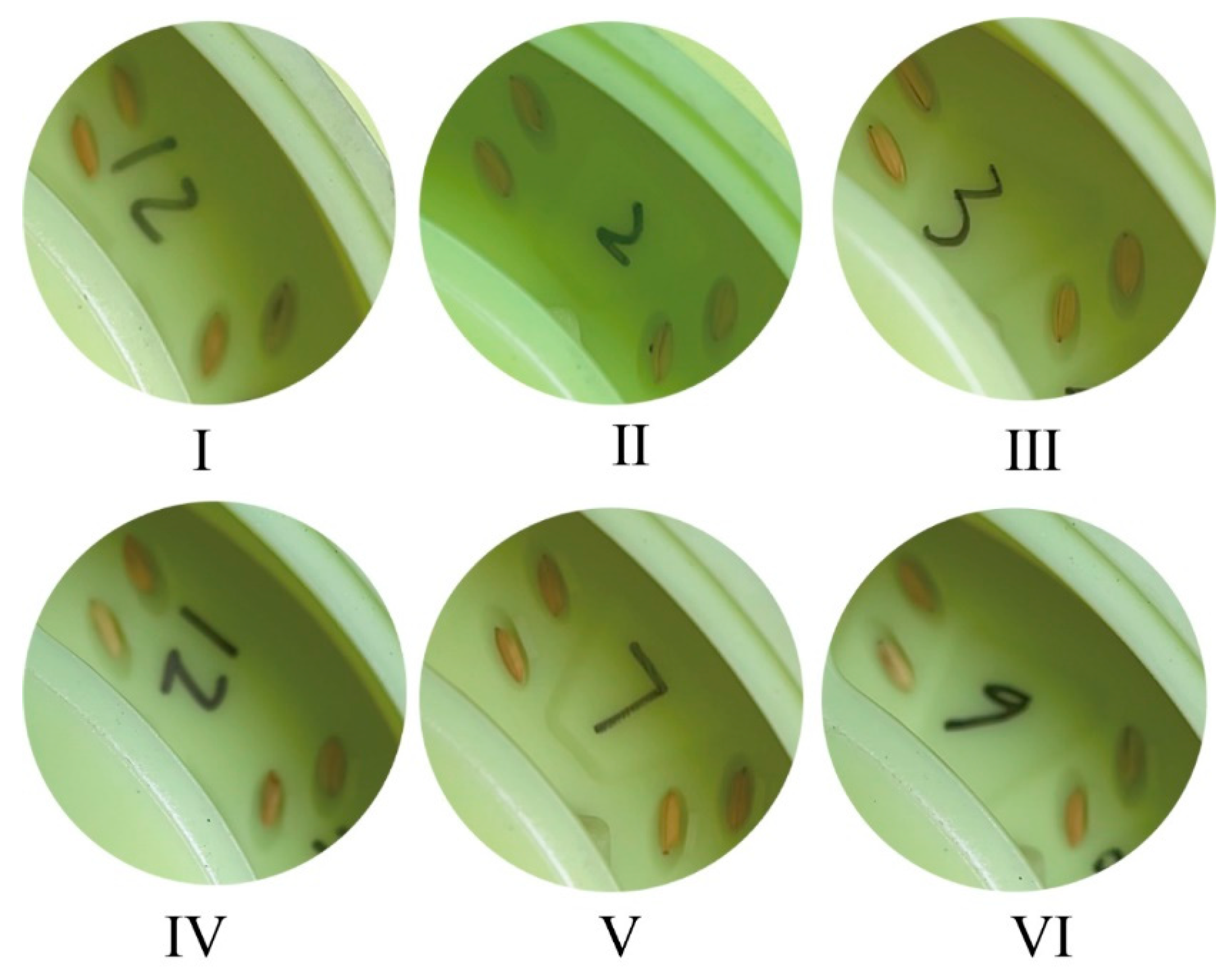 Agronomy 14 00768 g012