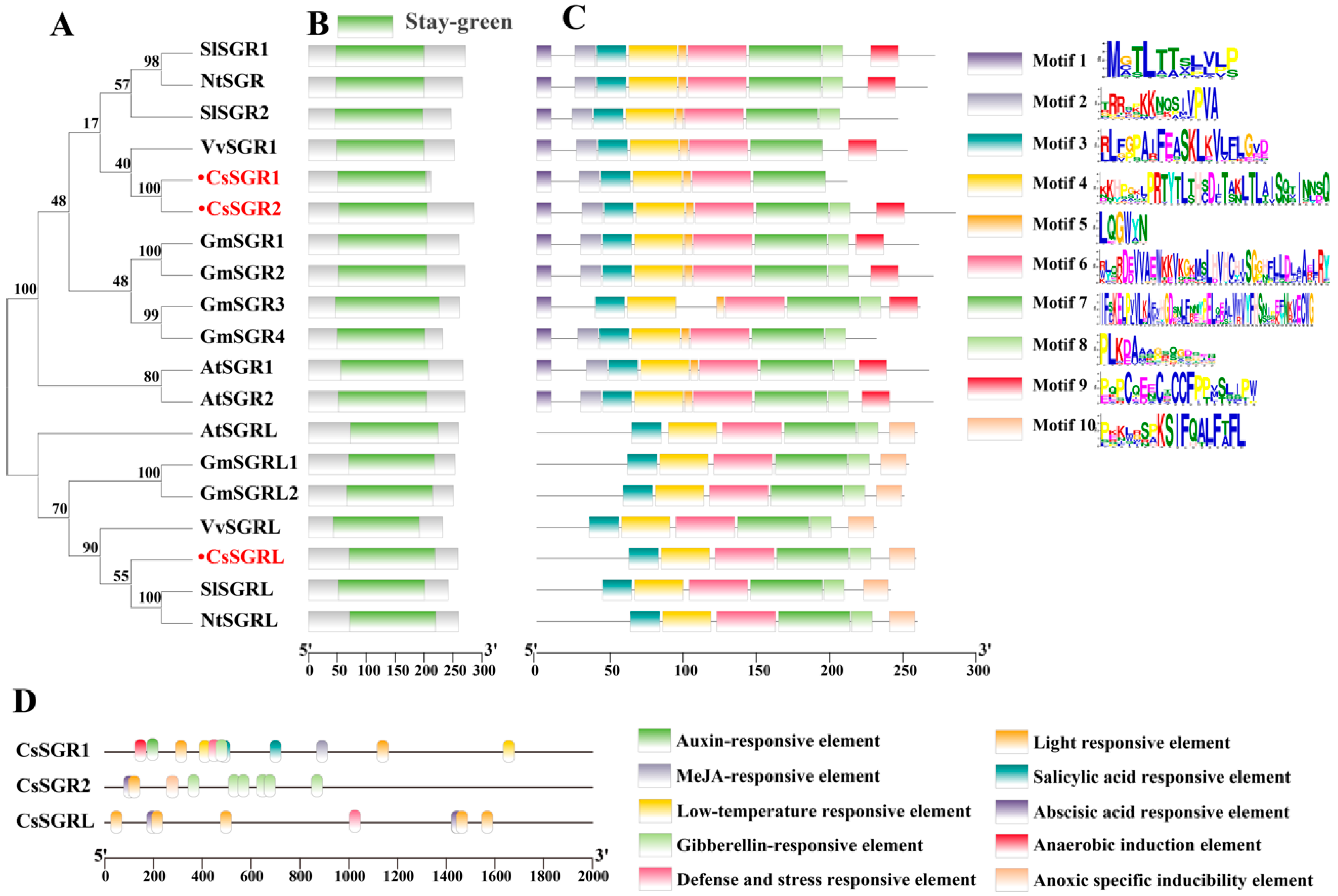 Agronomy 14 00769 g001