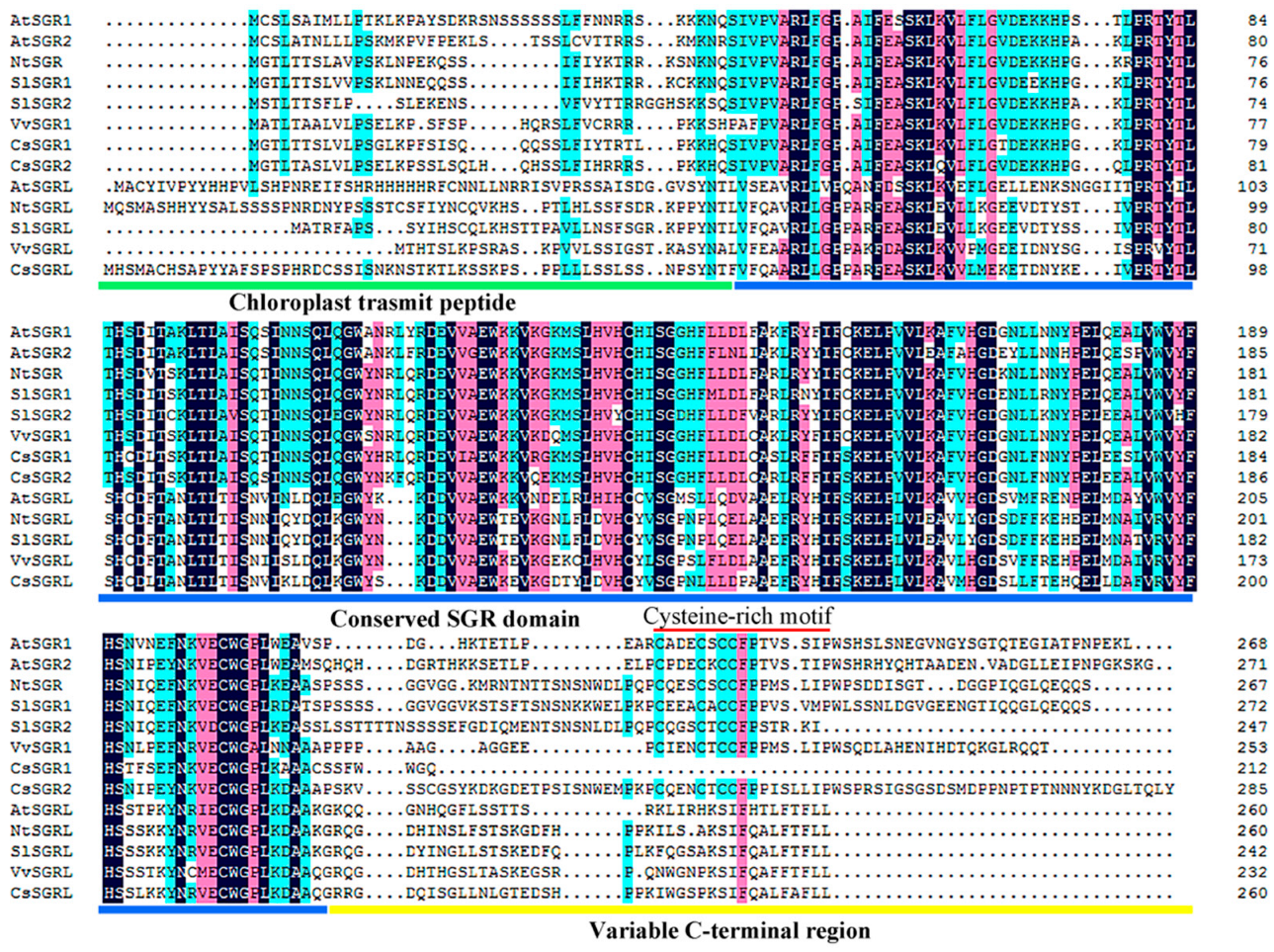 Agronomy 14 00769 g002