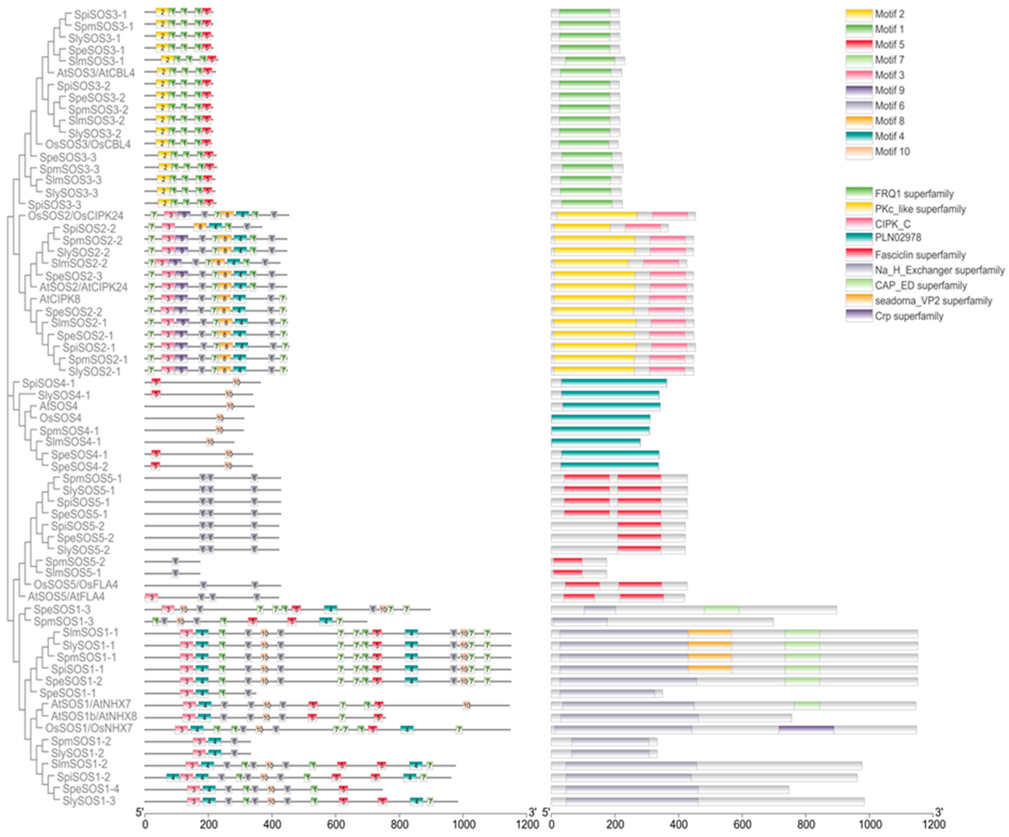 Agronomy 14 00773 g003