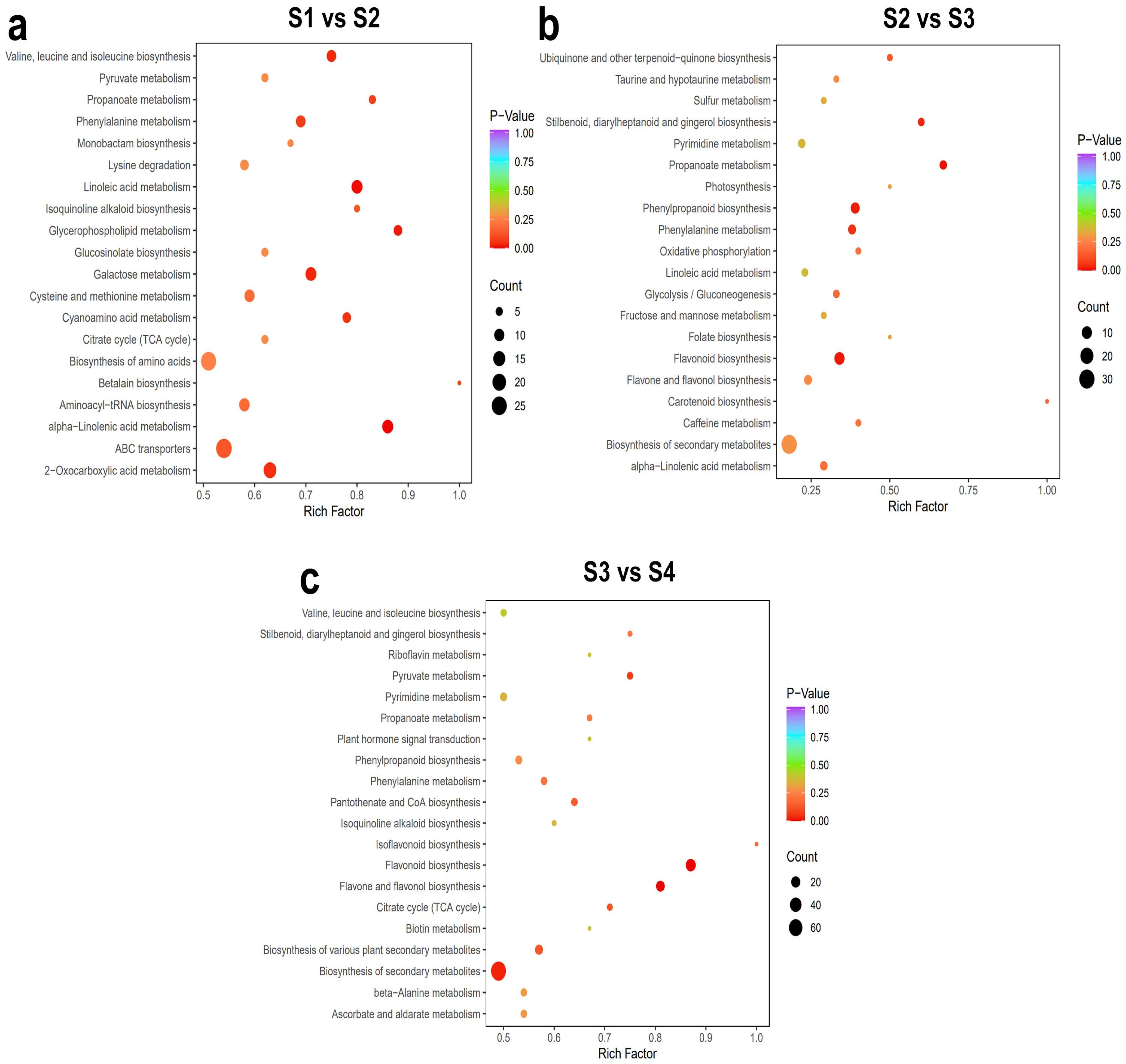 Agronomy 14 00787 g004