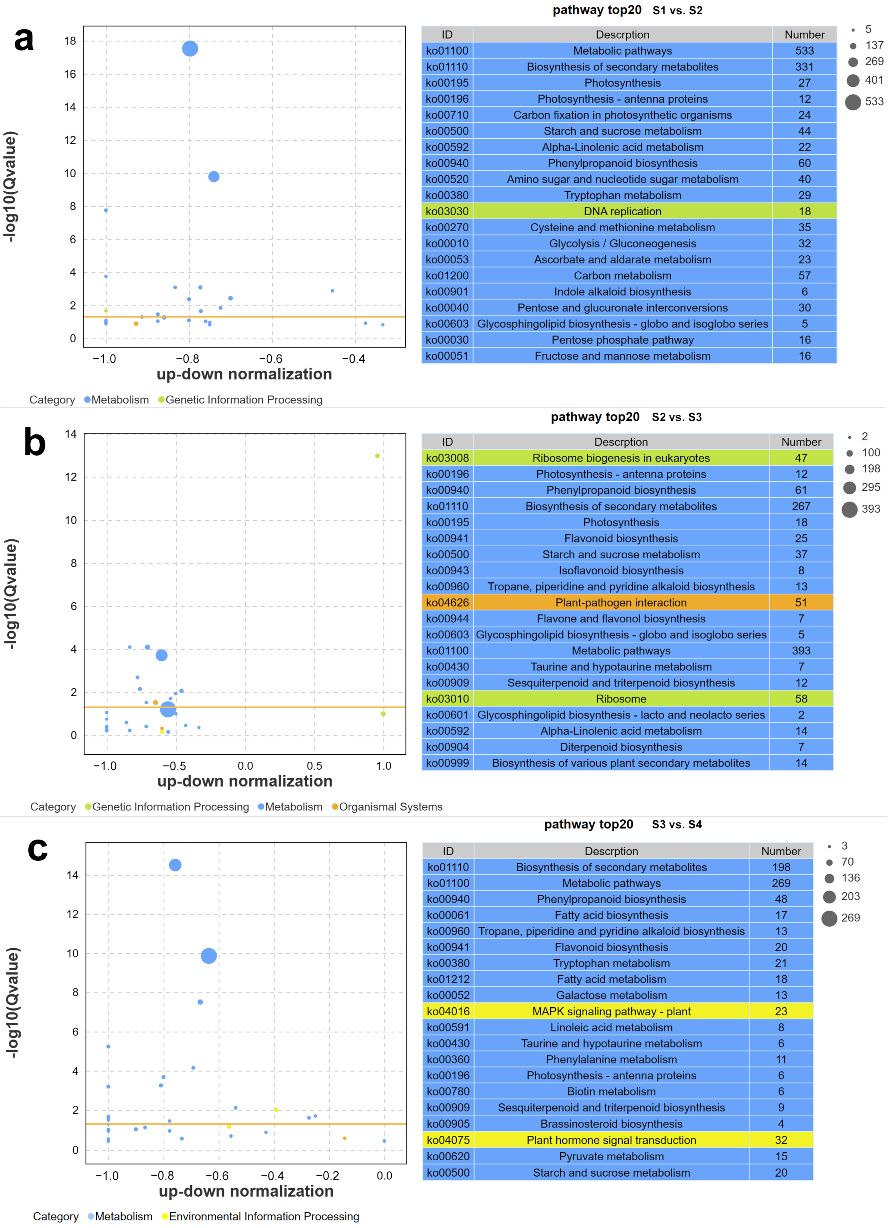 Agronomy 14 00787 g007